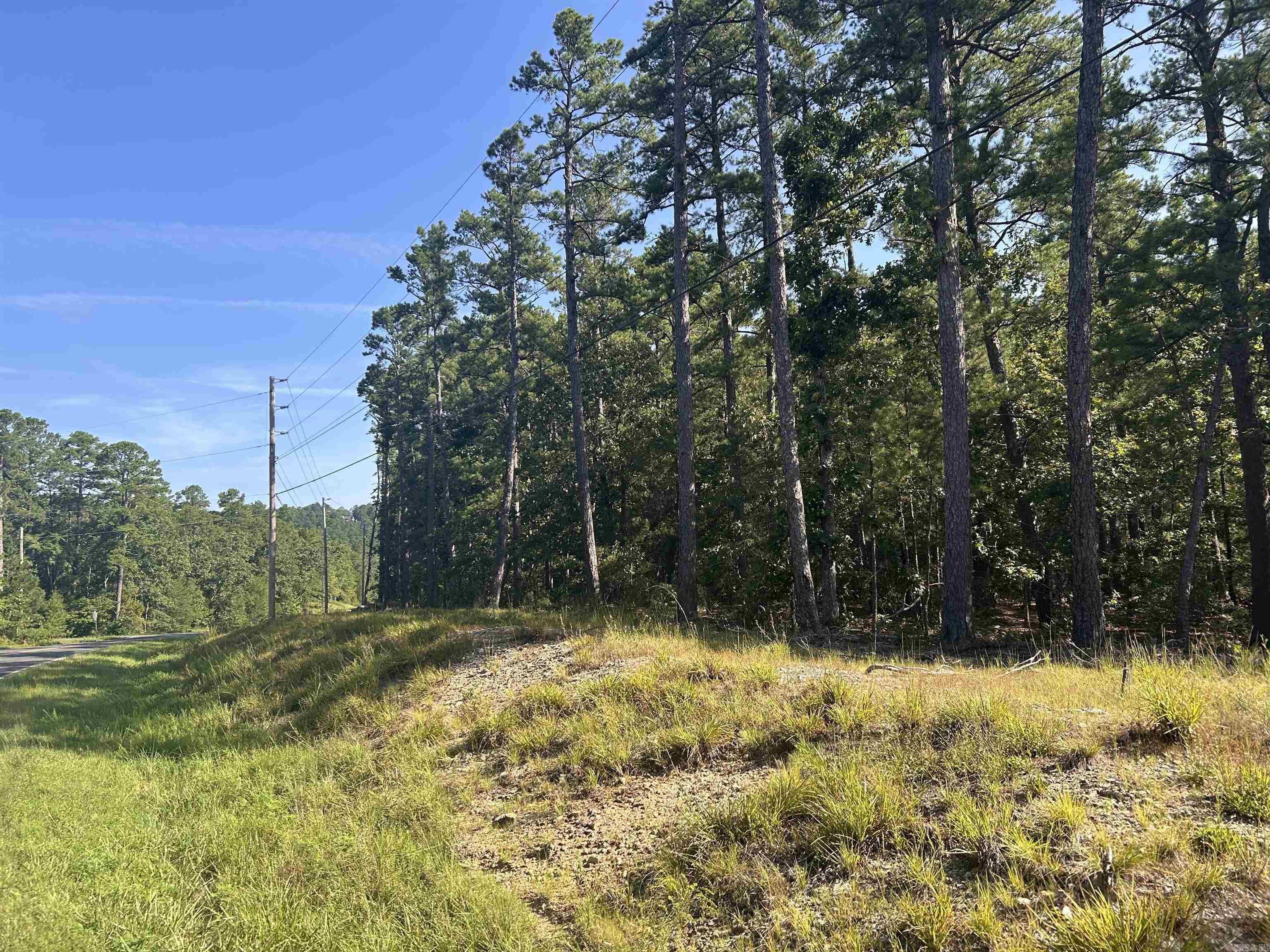 33 Levantino 2 Ostento Way Hot Springs Village, AR