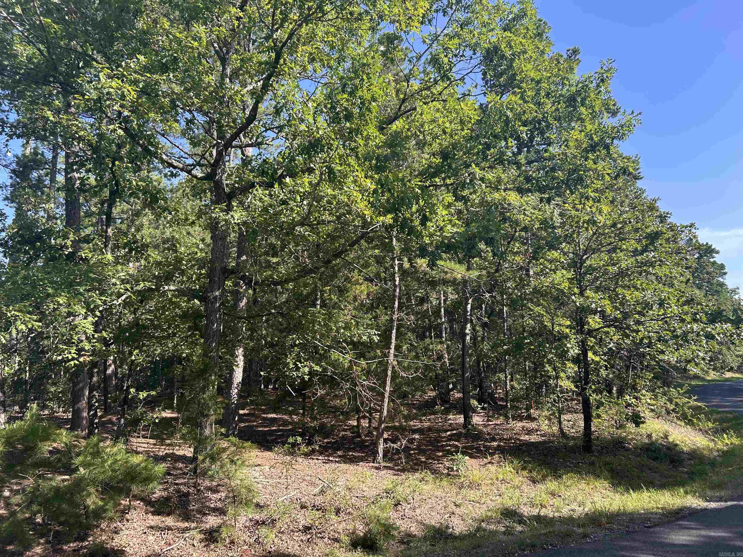 33 Levantino 2 Ostento Way Hot Springs Village, AR
