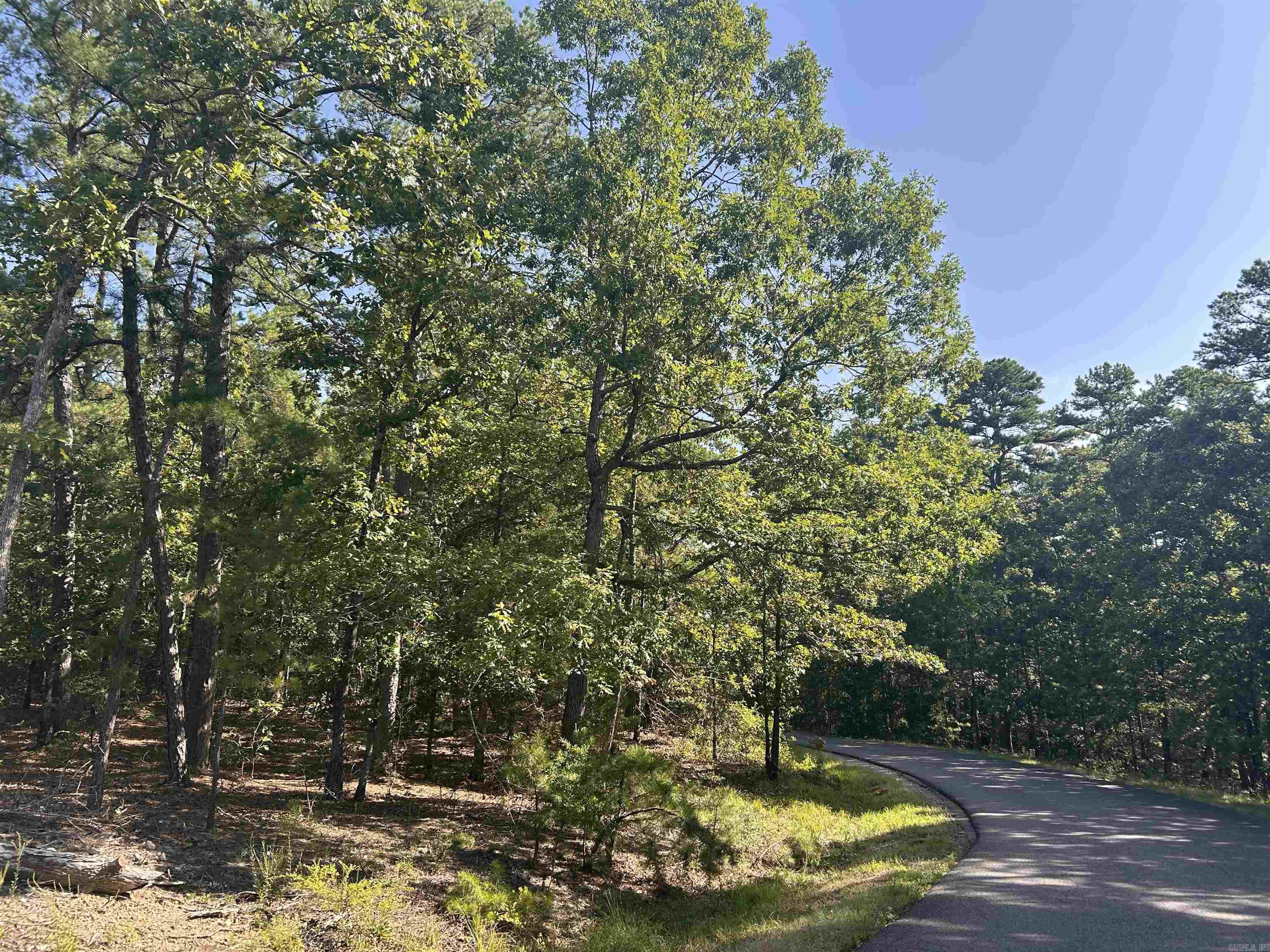 33 Levantino 2 Ostento Way Hot Springs Village, AR