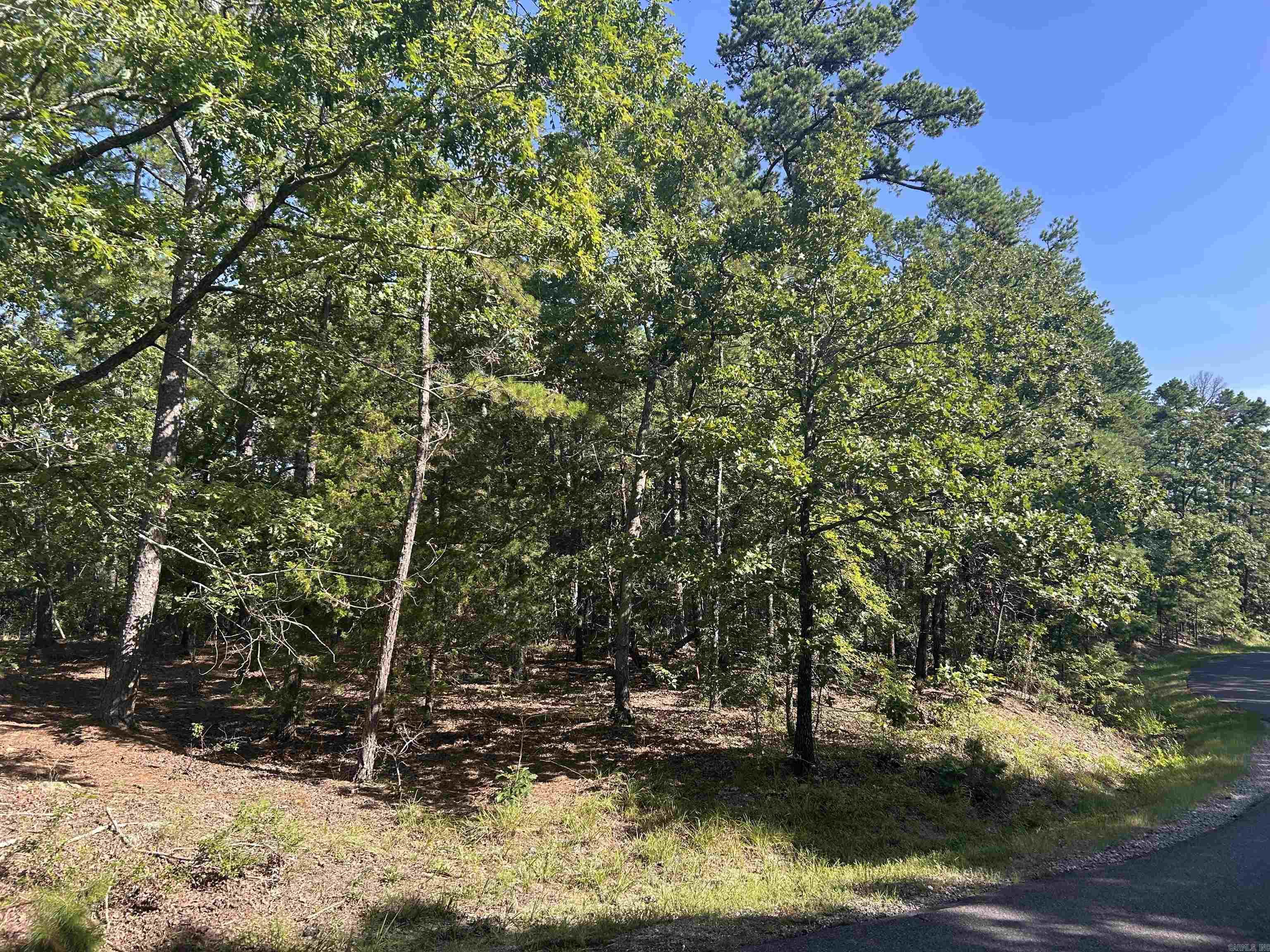 33 Levantino 2 Ostento Way Hot Springs Village, AR