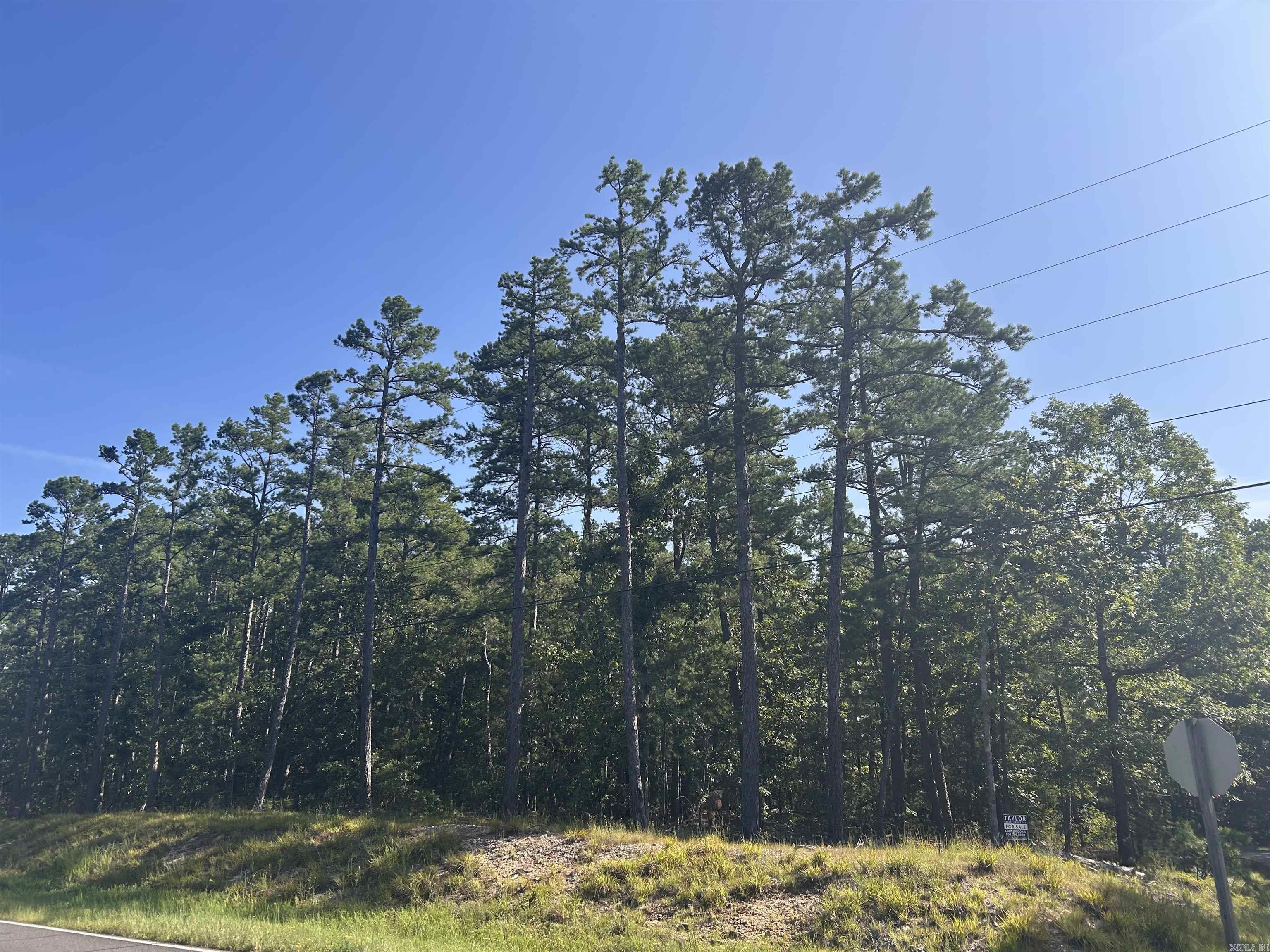 33 Levantino 2 Ostento Way Hot Springs Village, AR