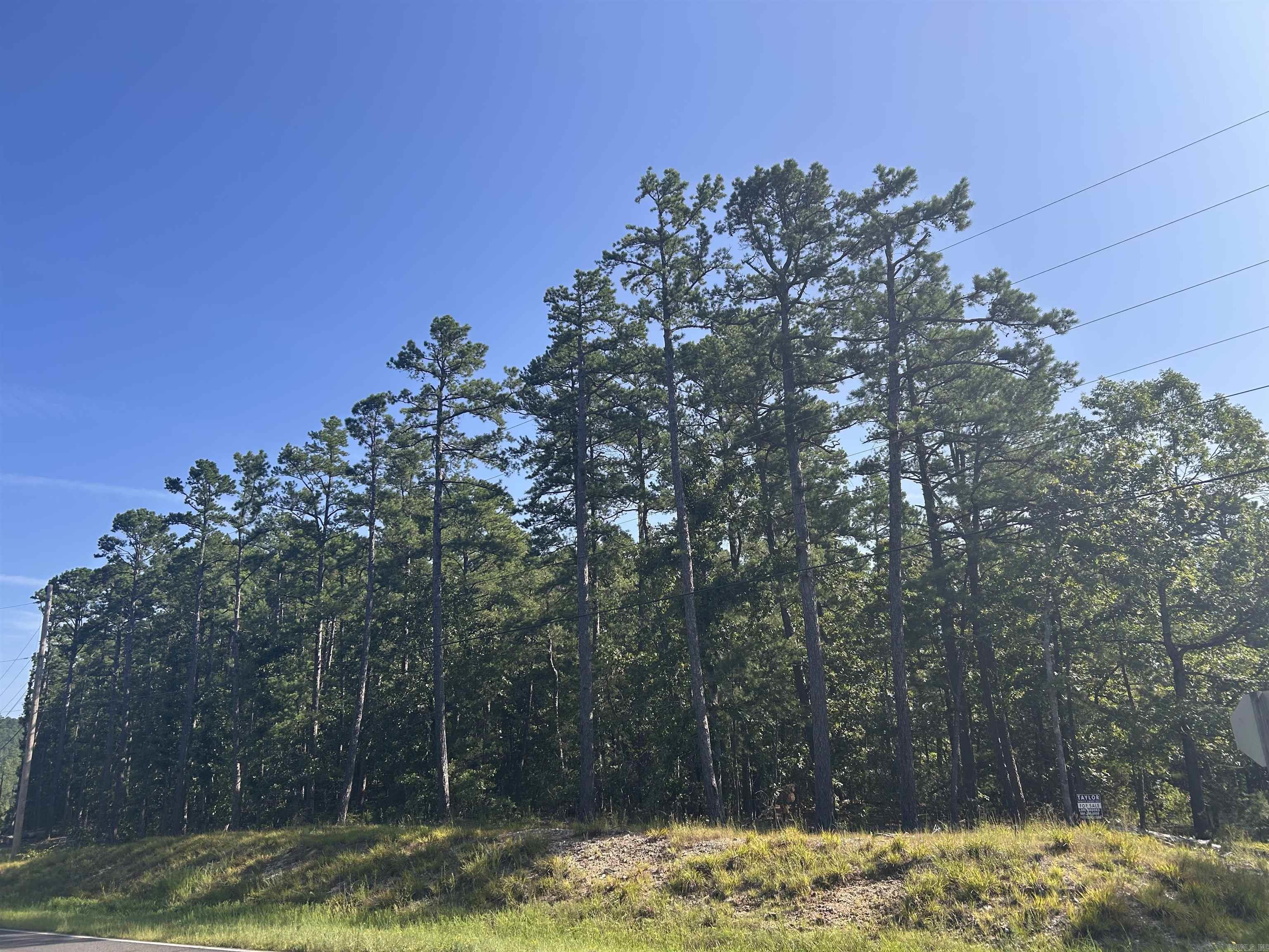 33 Levantino 2 Ostento Way Hot Springs Village, AR