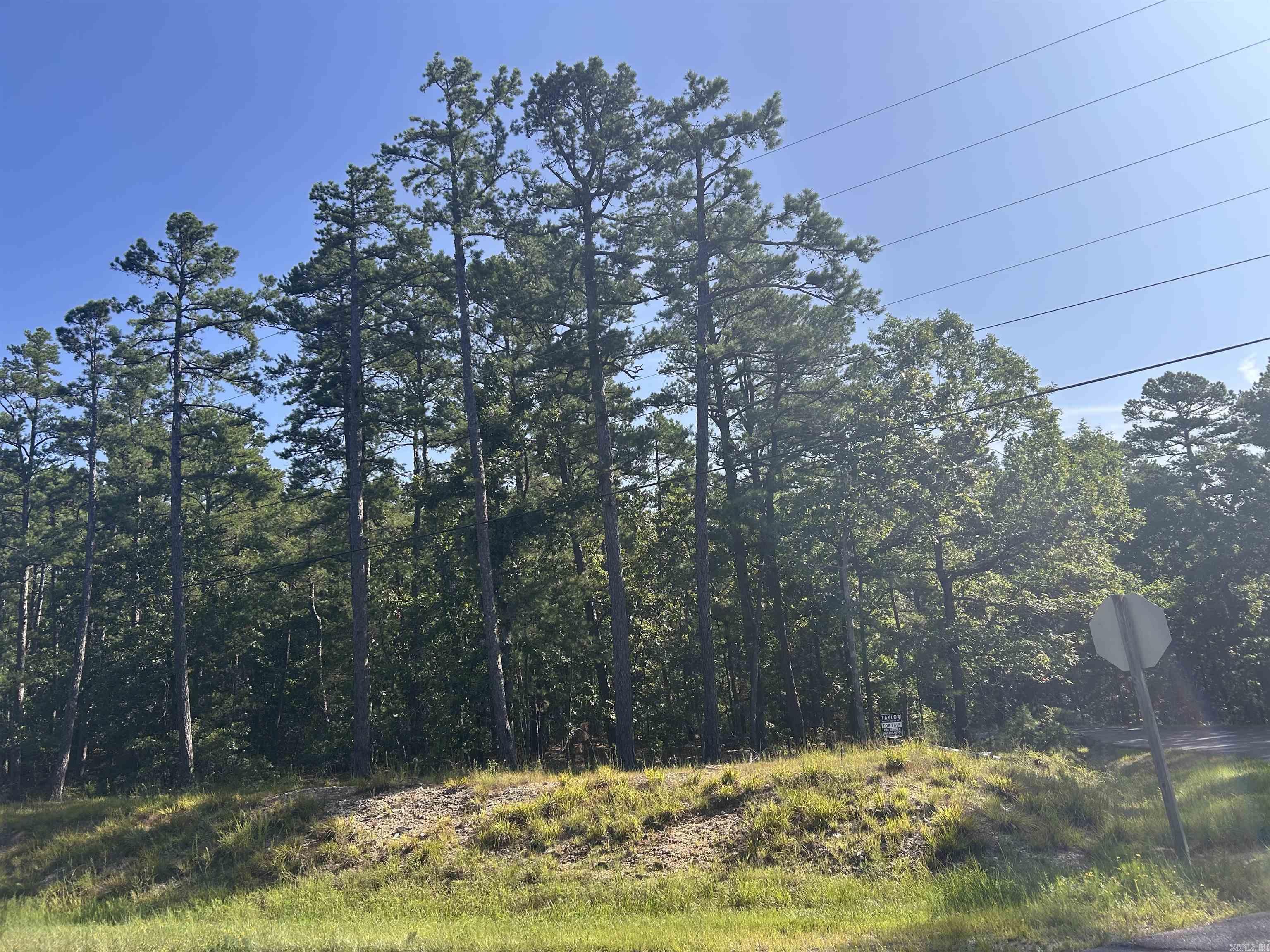 33 Levantino 2 Ostento Way Hot Springs Village, AR