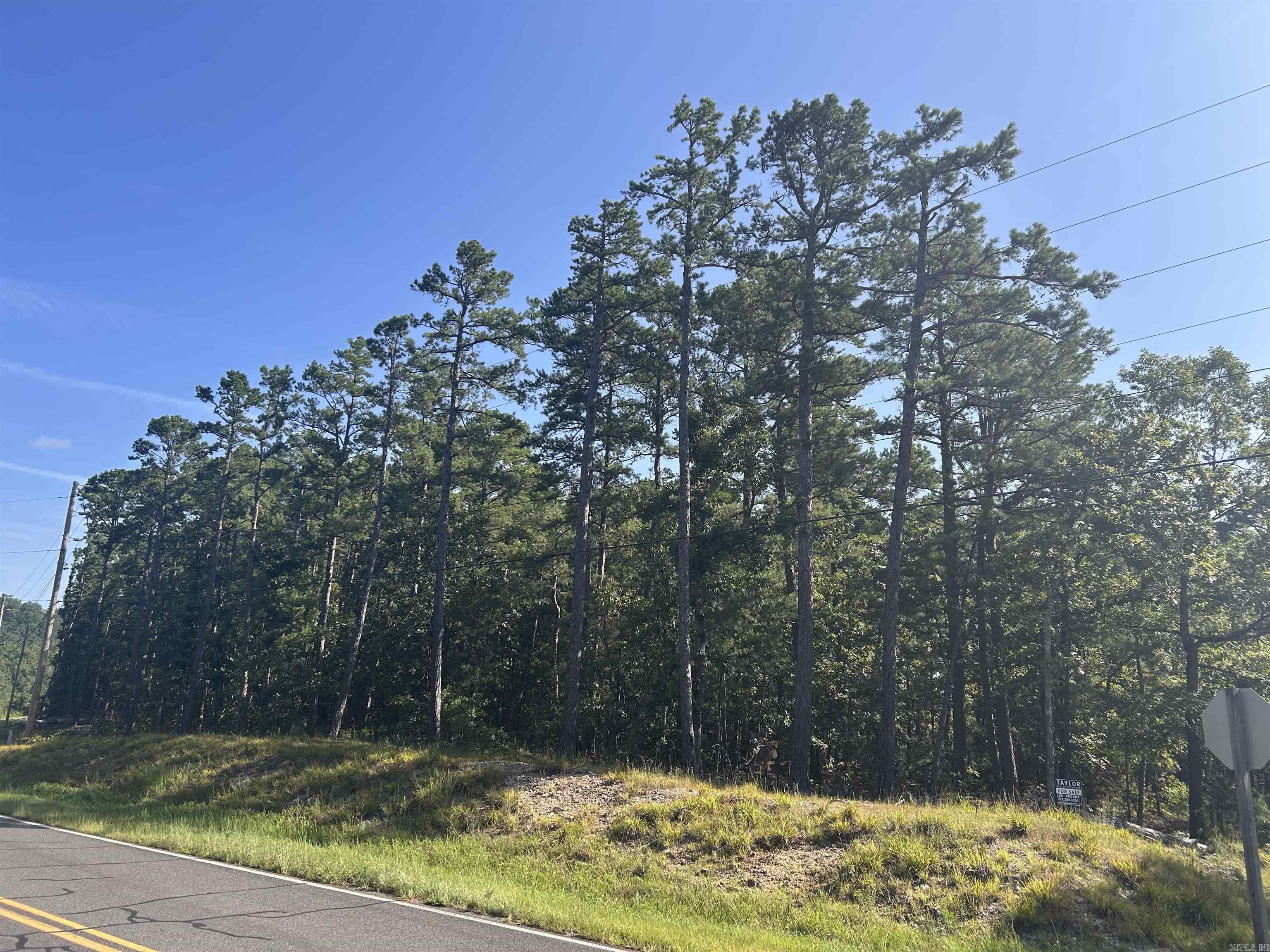 33 Levantino 2 Ostento Way Hot Springs Village, AR