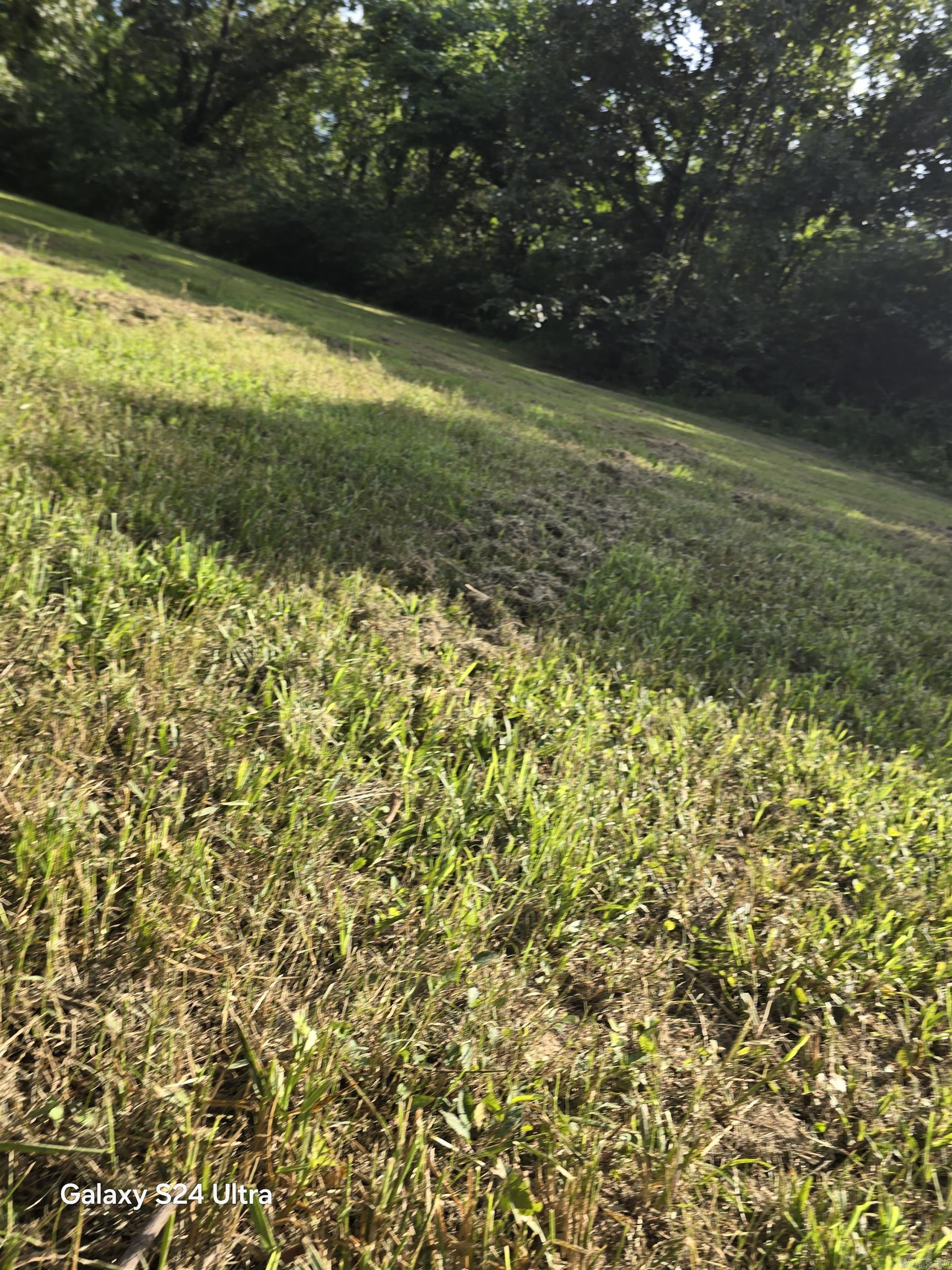 39 Lakeshore  Sidney, AR