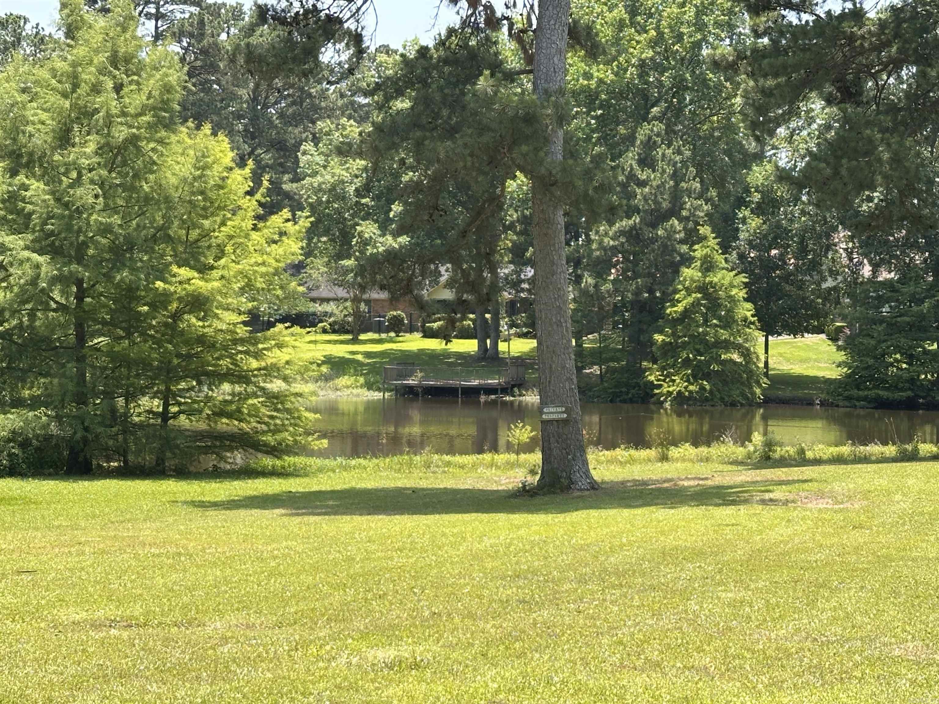 9 Chinquepin  Magnolia, AR