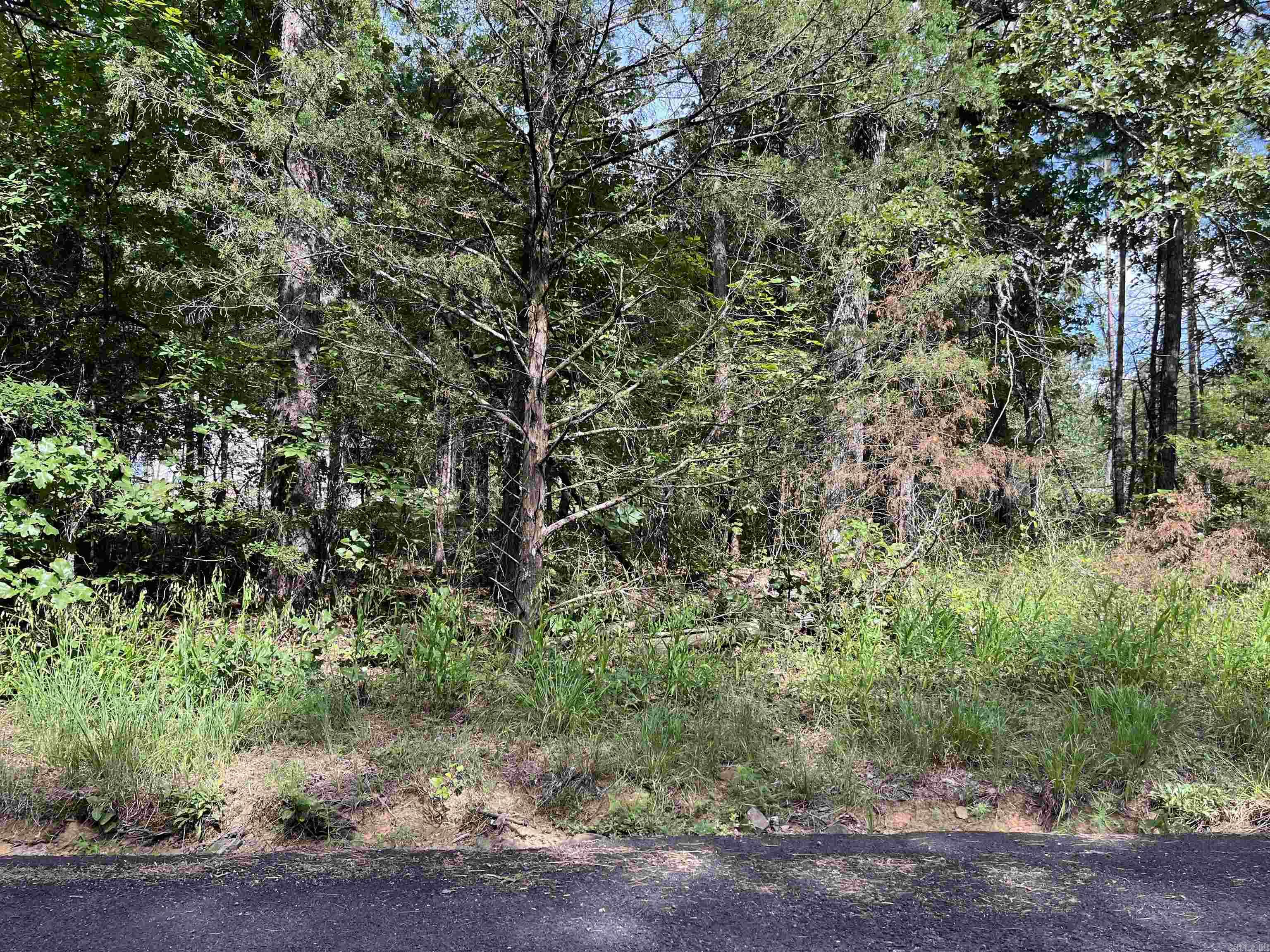 270 Wood Grove Ln.  Higden, AR