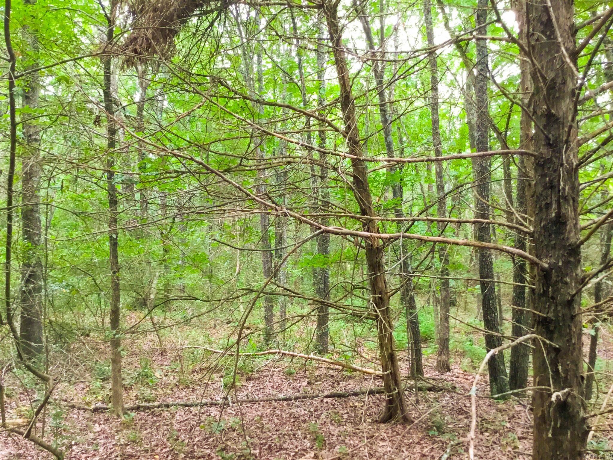 395 Heber Springs W  Heber Springs, AR