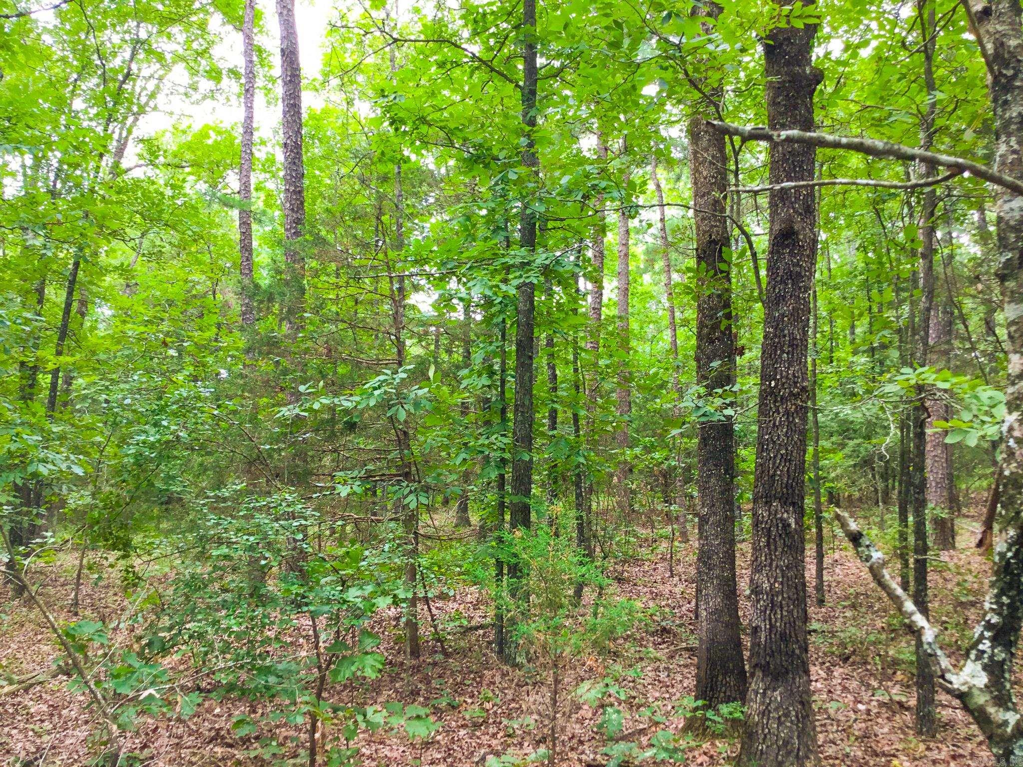 395 Heber Springs W  Heber Springs, AR