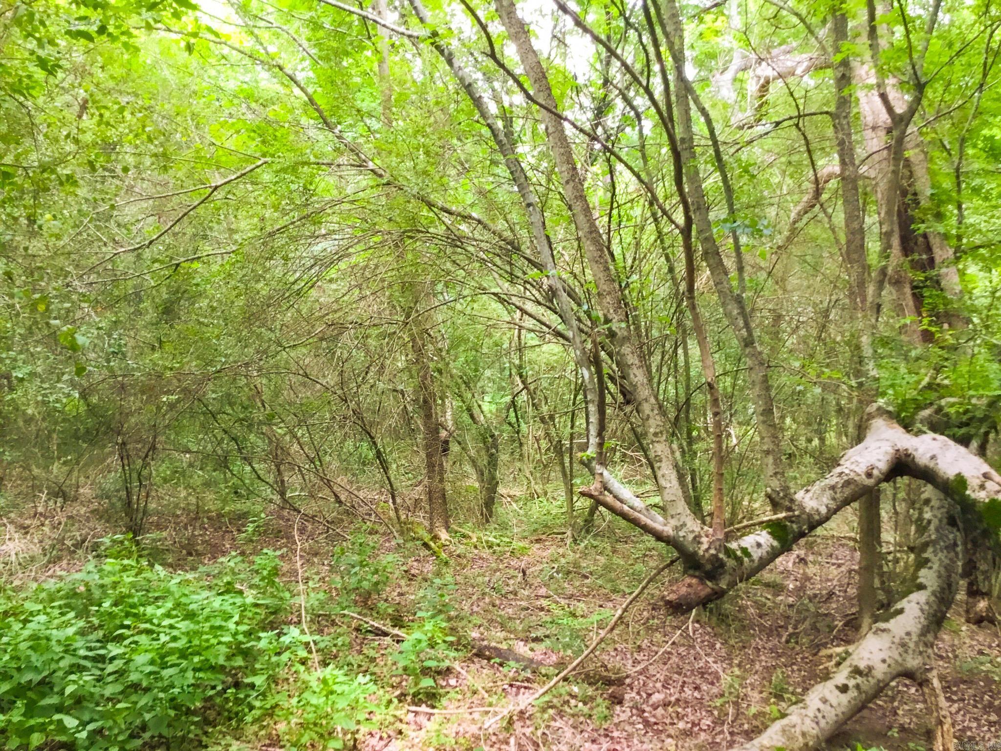 395 Heber Springs W  Heber Springs, AR