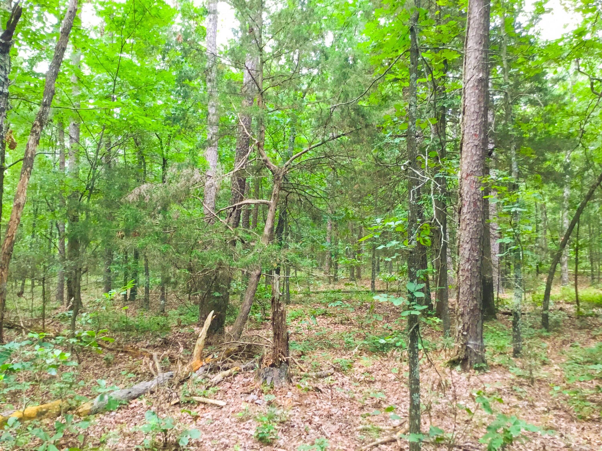 395 Heber Springs W  Heber Springs, AR