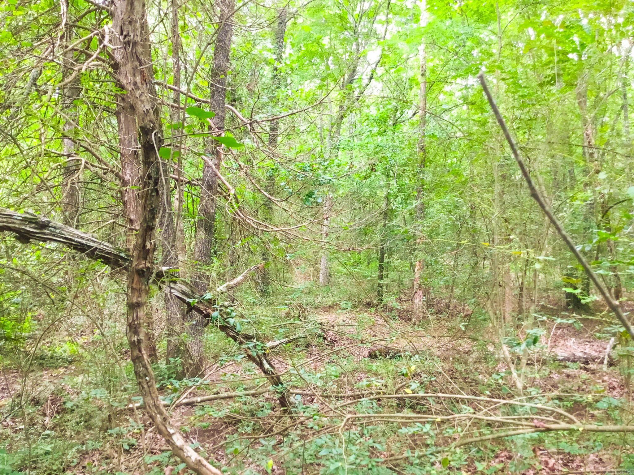 395 Heber Springs W  Heber Springs, AR