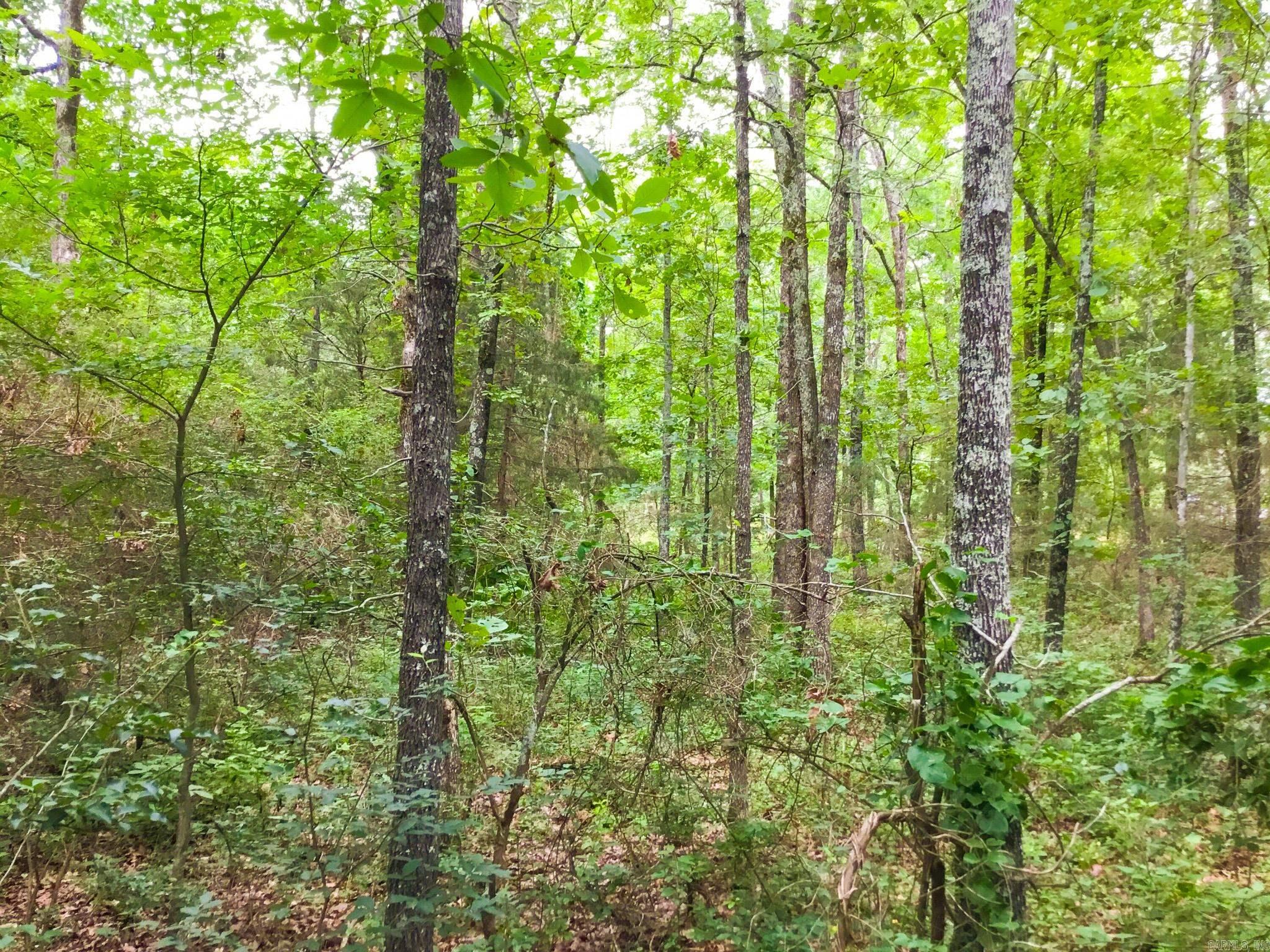 395 Heber Springs W  Heber Springs, AR