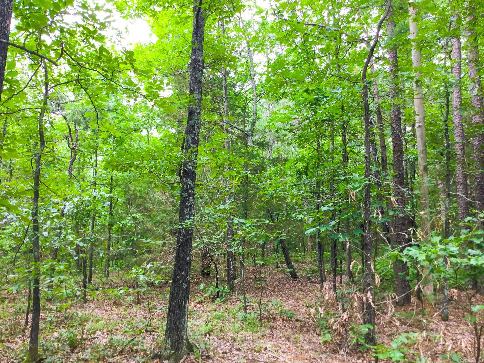395 Heber Springs W  Heber Springs, AR