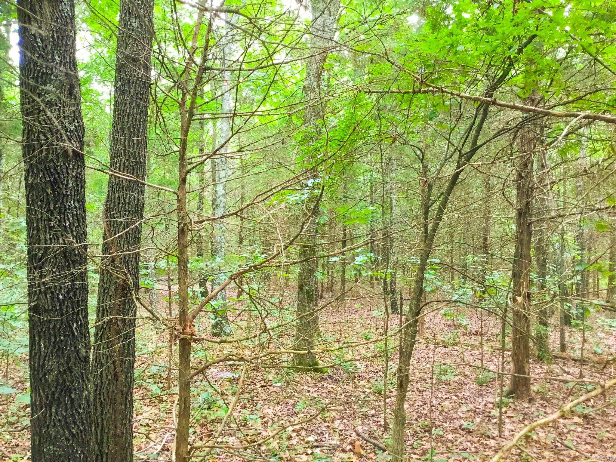 395 Heber Springs W  Heber Springs, AR