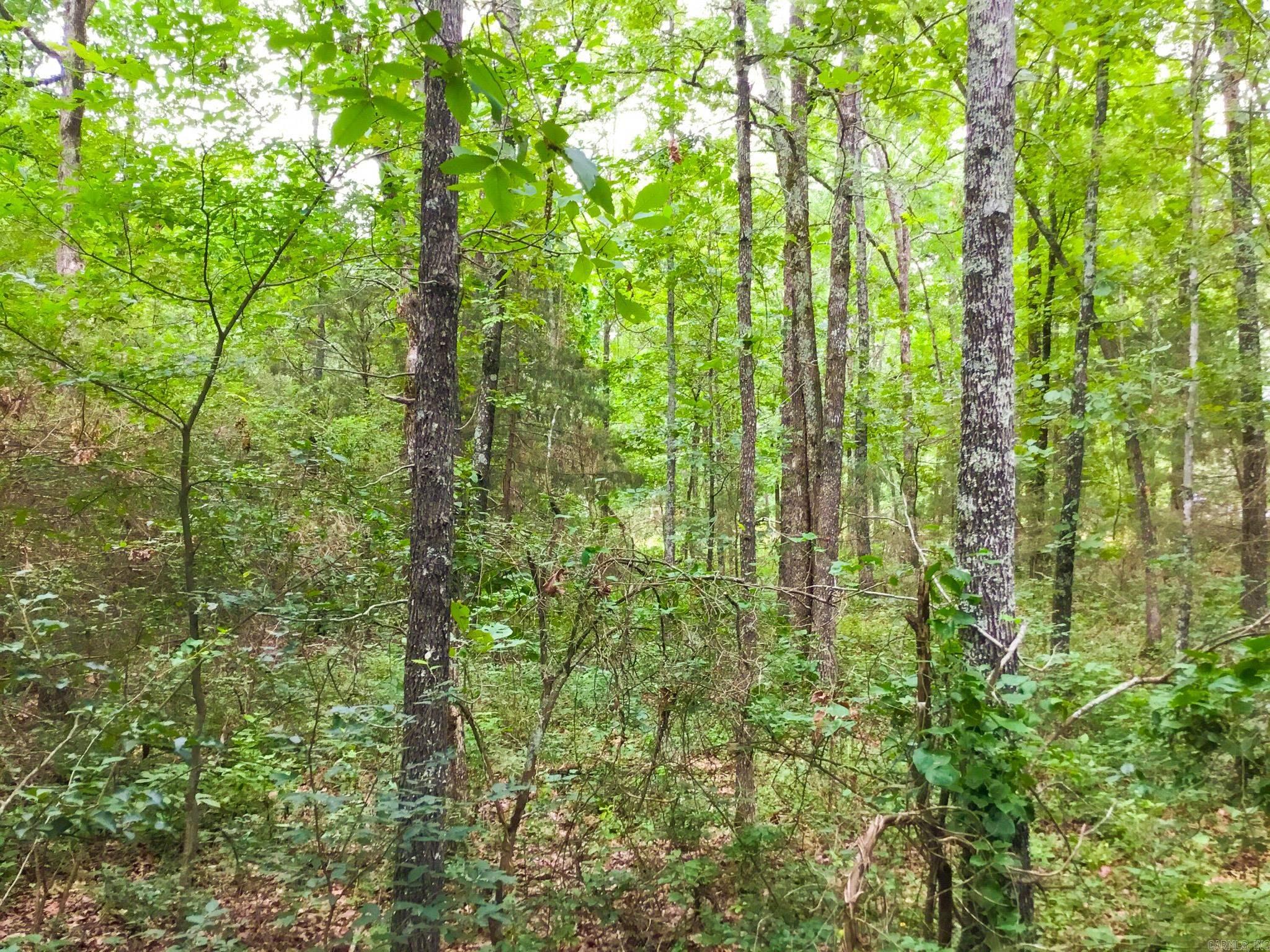 395 Heber Springs W  Heber Springs, AR