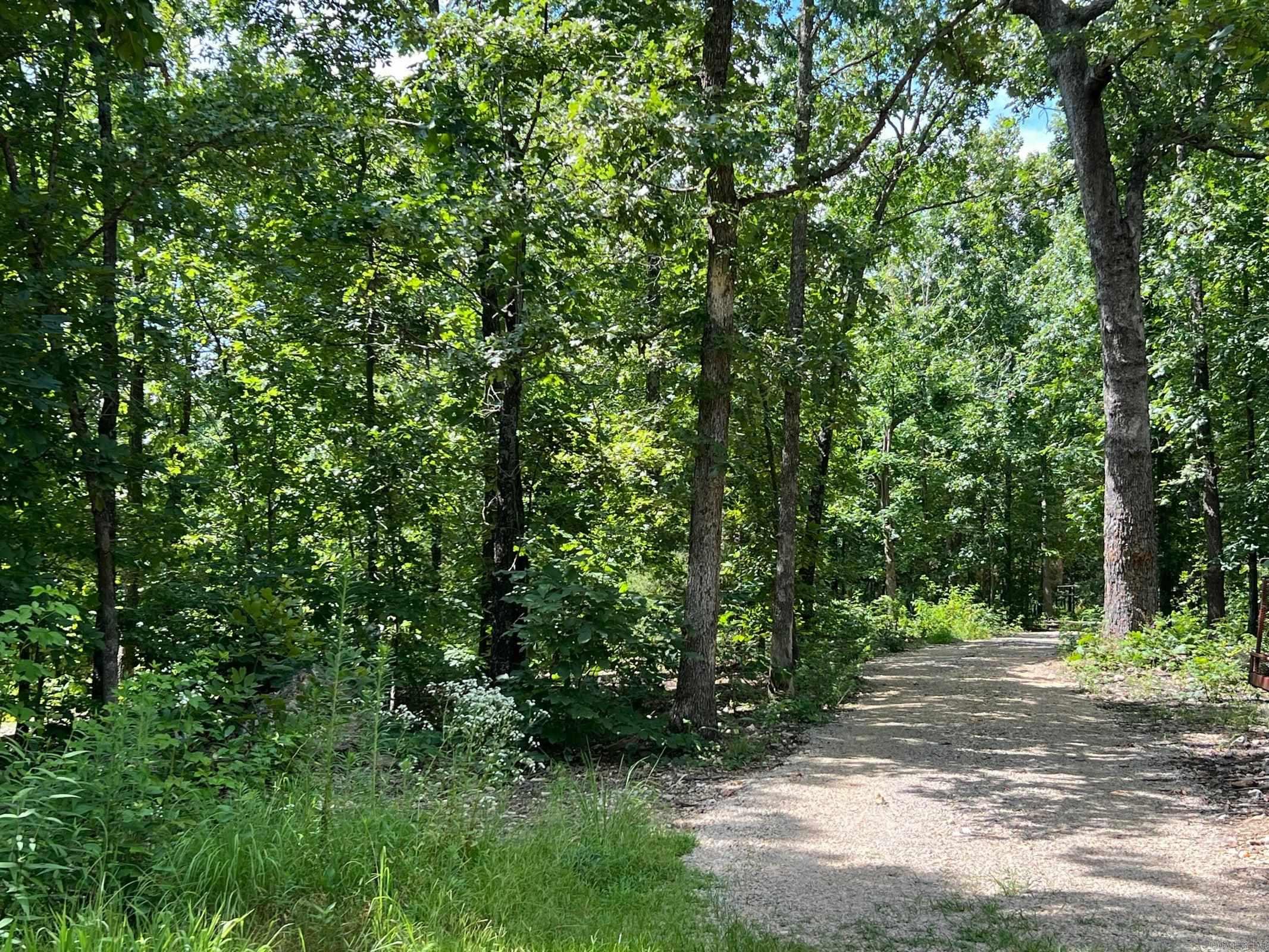1001 Foxfield Road  Mammoth Spring, AR