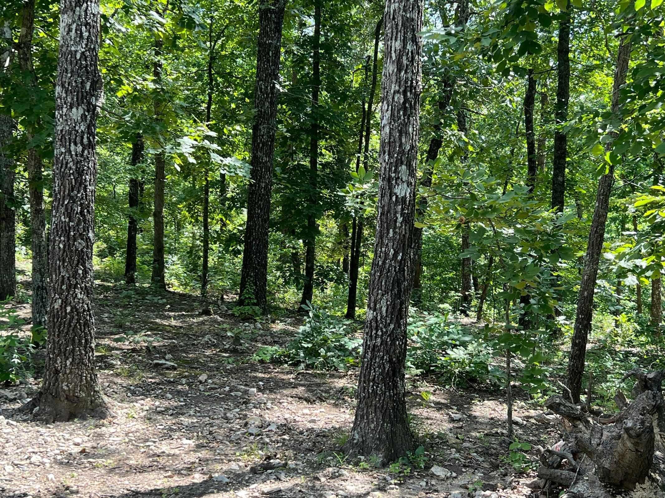 1001 Foxfield Road  Mammoth Spring, AR