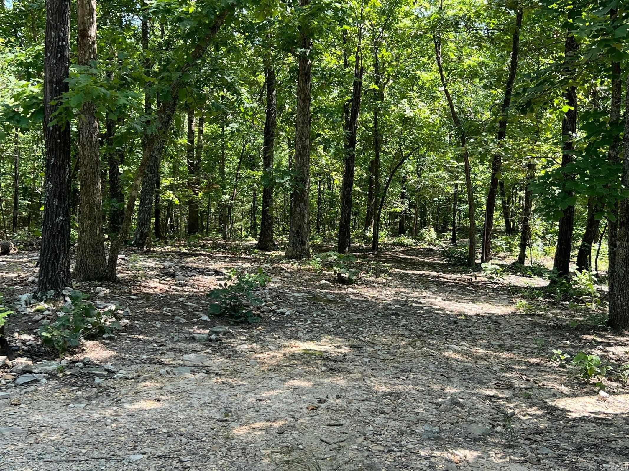 1001 Foxfield Road  Mammoth Spring, AR