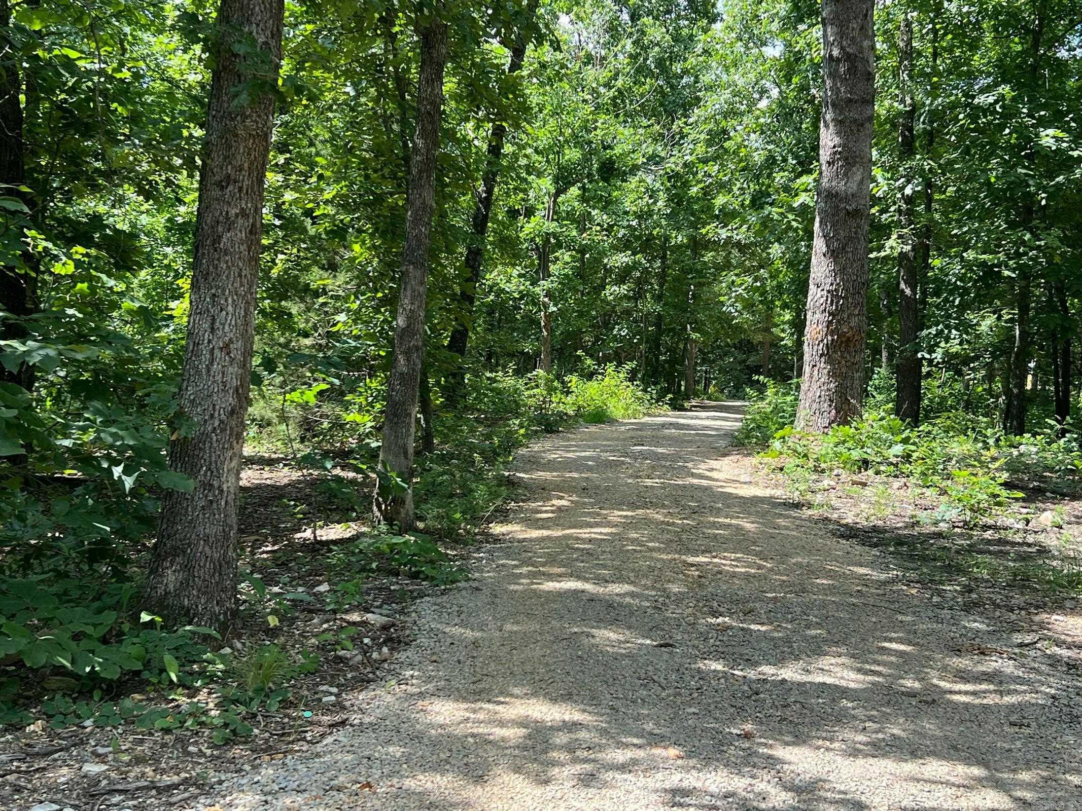 1001 Foxfield Road  Mammoth Spring, AR