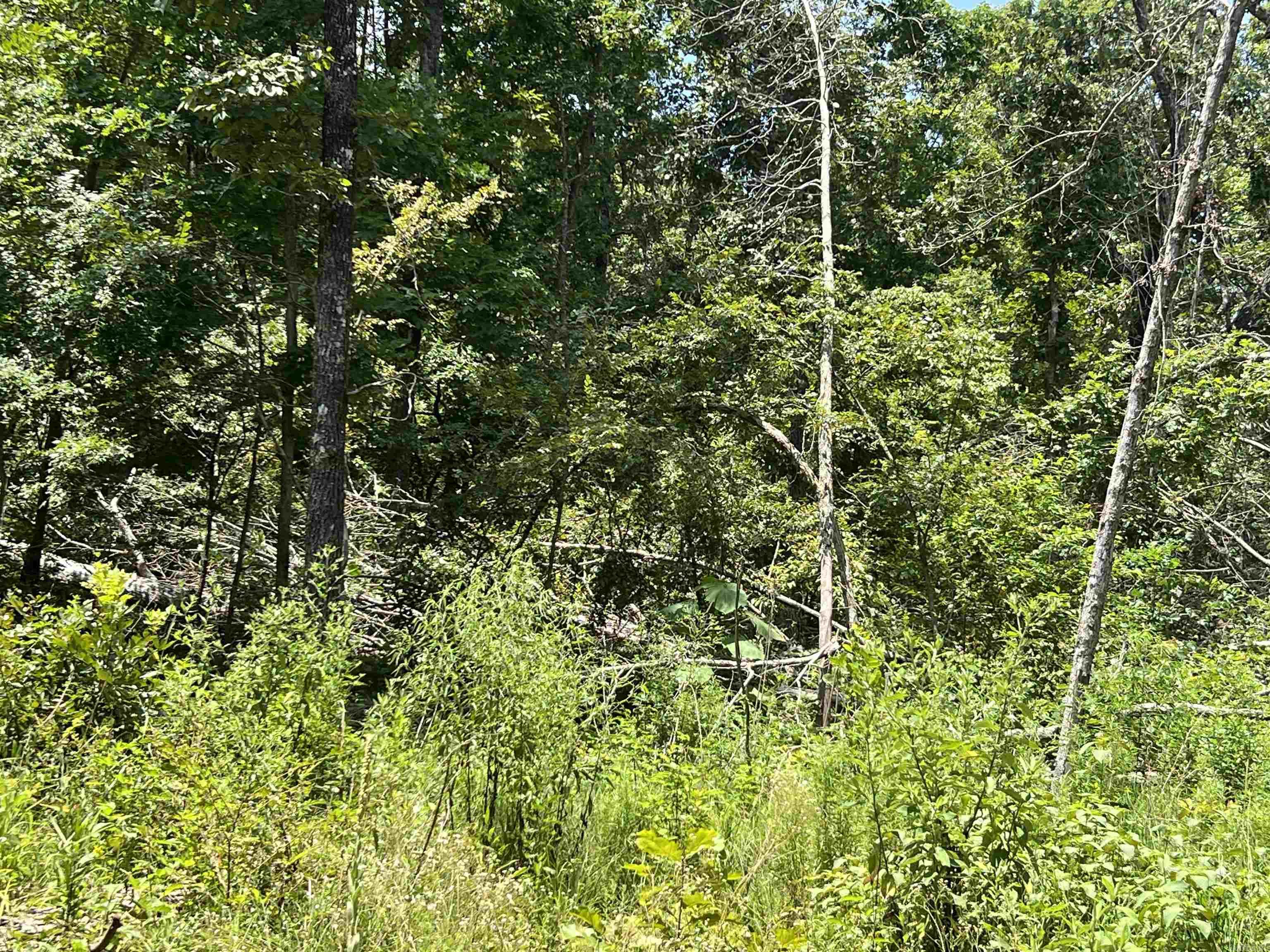 000 Foxfield Road  Mammoth Spring, AR