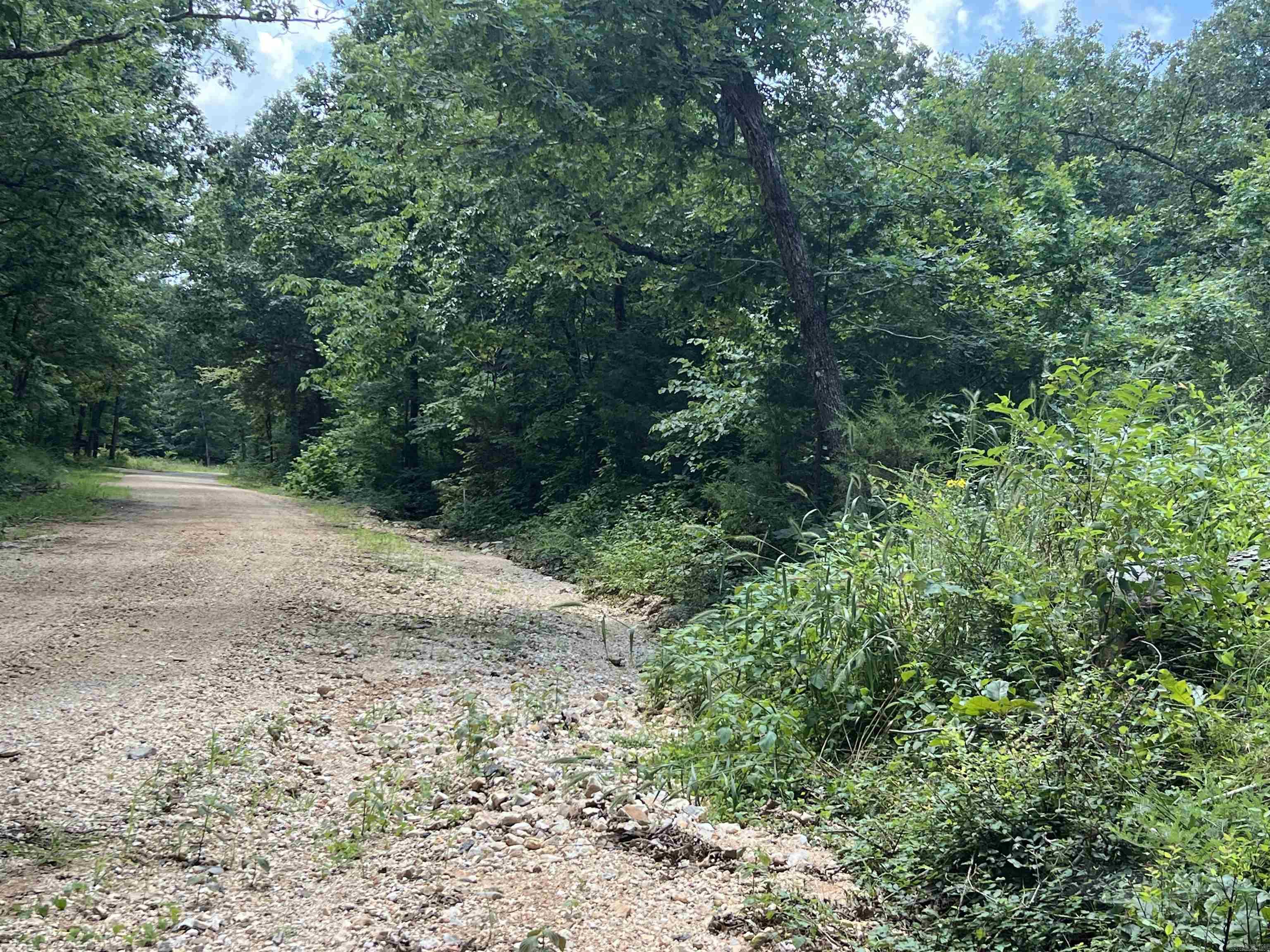 000 Foxfield Road  Mammoth Spring, AR