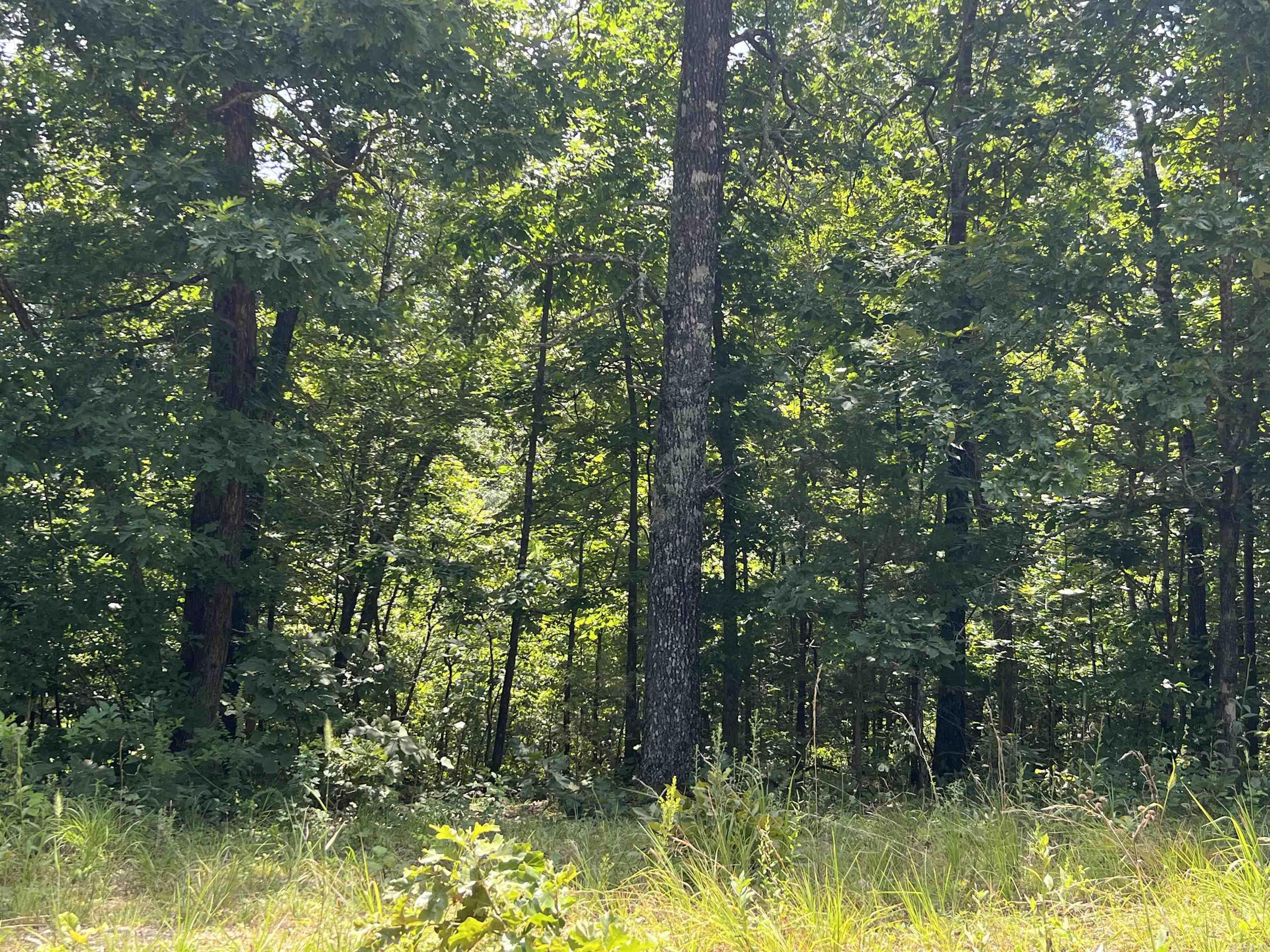 000 Foxfield Road  Mammoth Spring, AR
