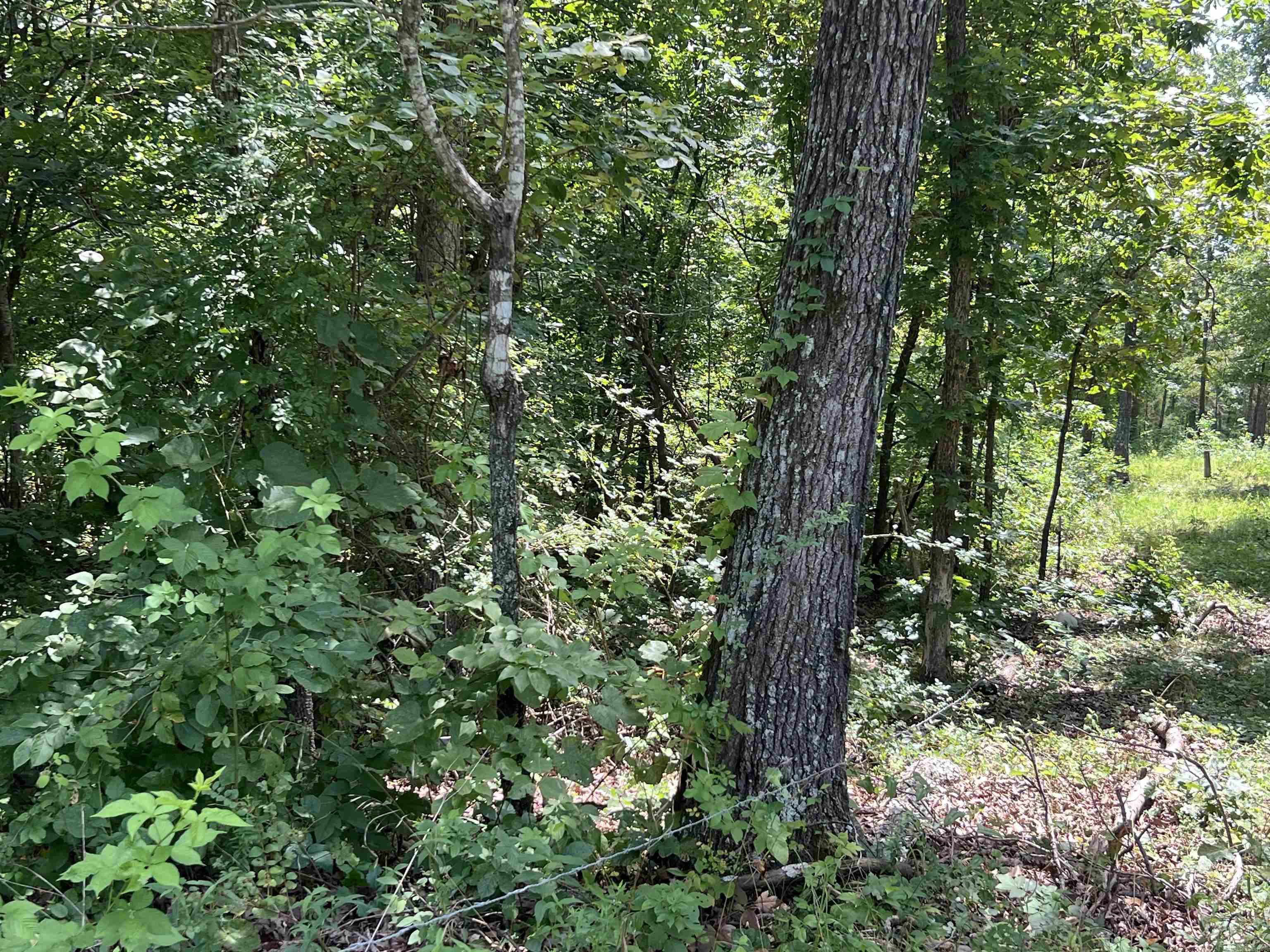 000 Foxfield Road  Mammoth Spring, AR