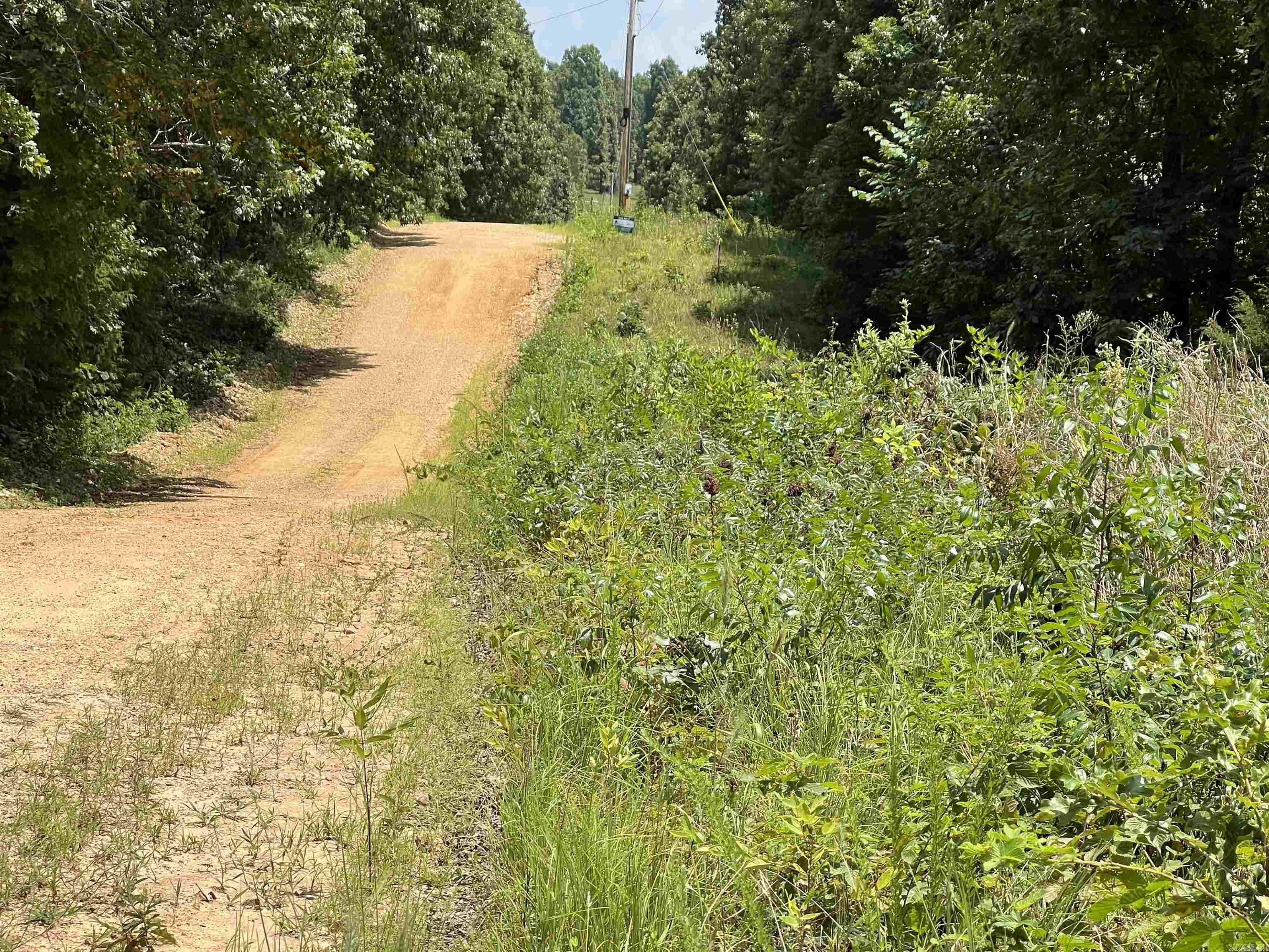 000 Foxfield Road  Mammoth Spring, AR
