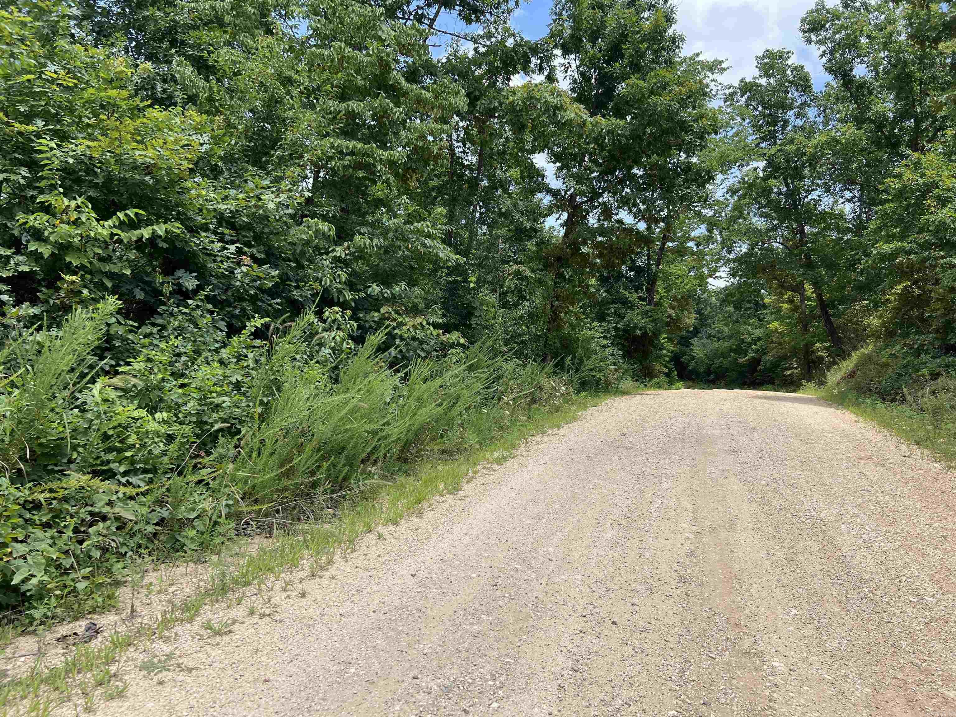 000 Foxfield Road  Mammoth Spring, AR