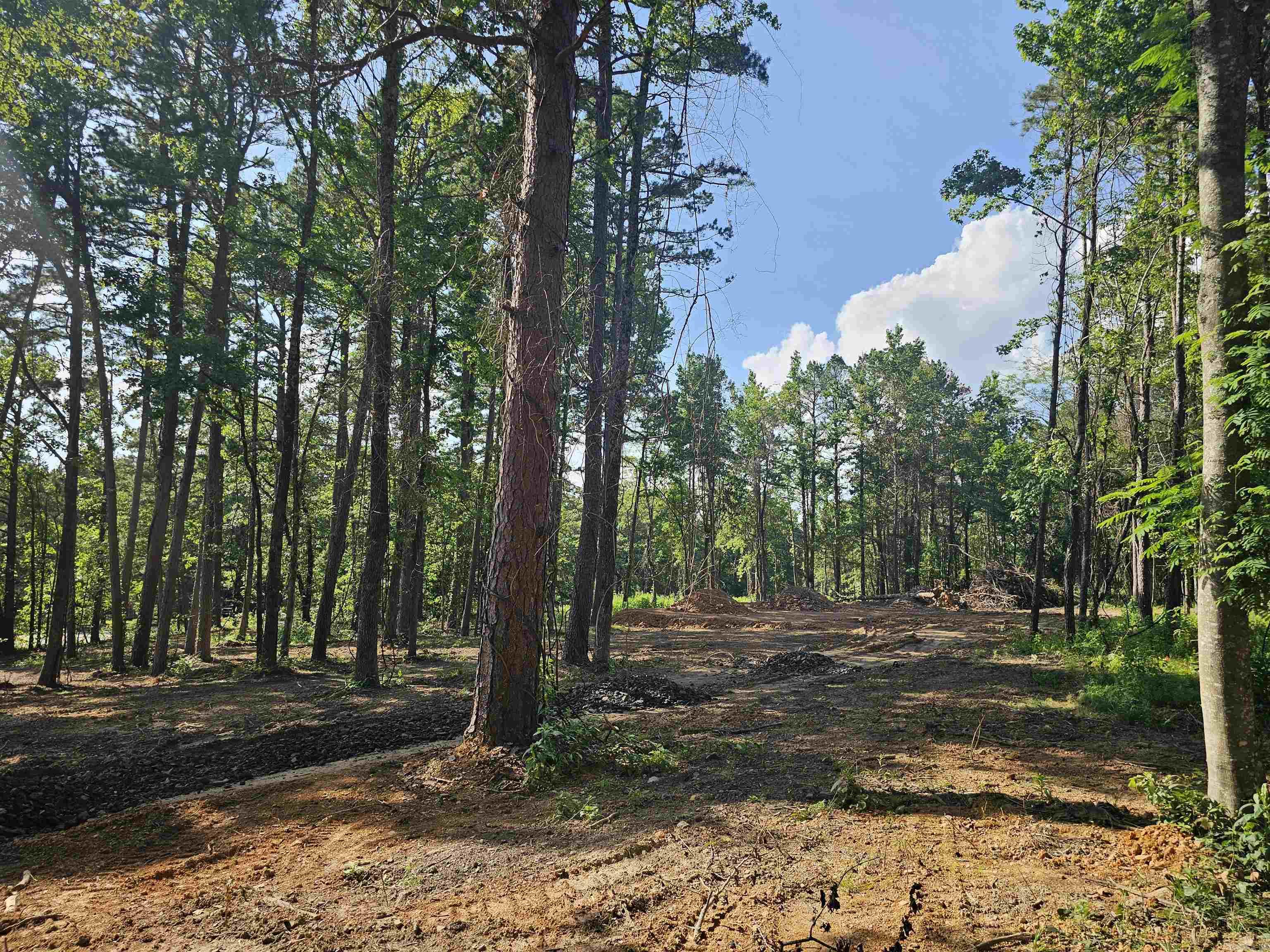 6 Chester  Perryville, AR