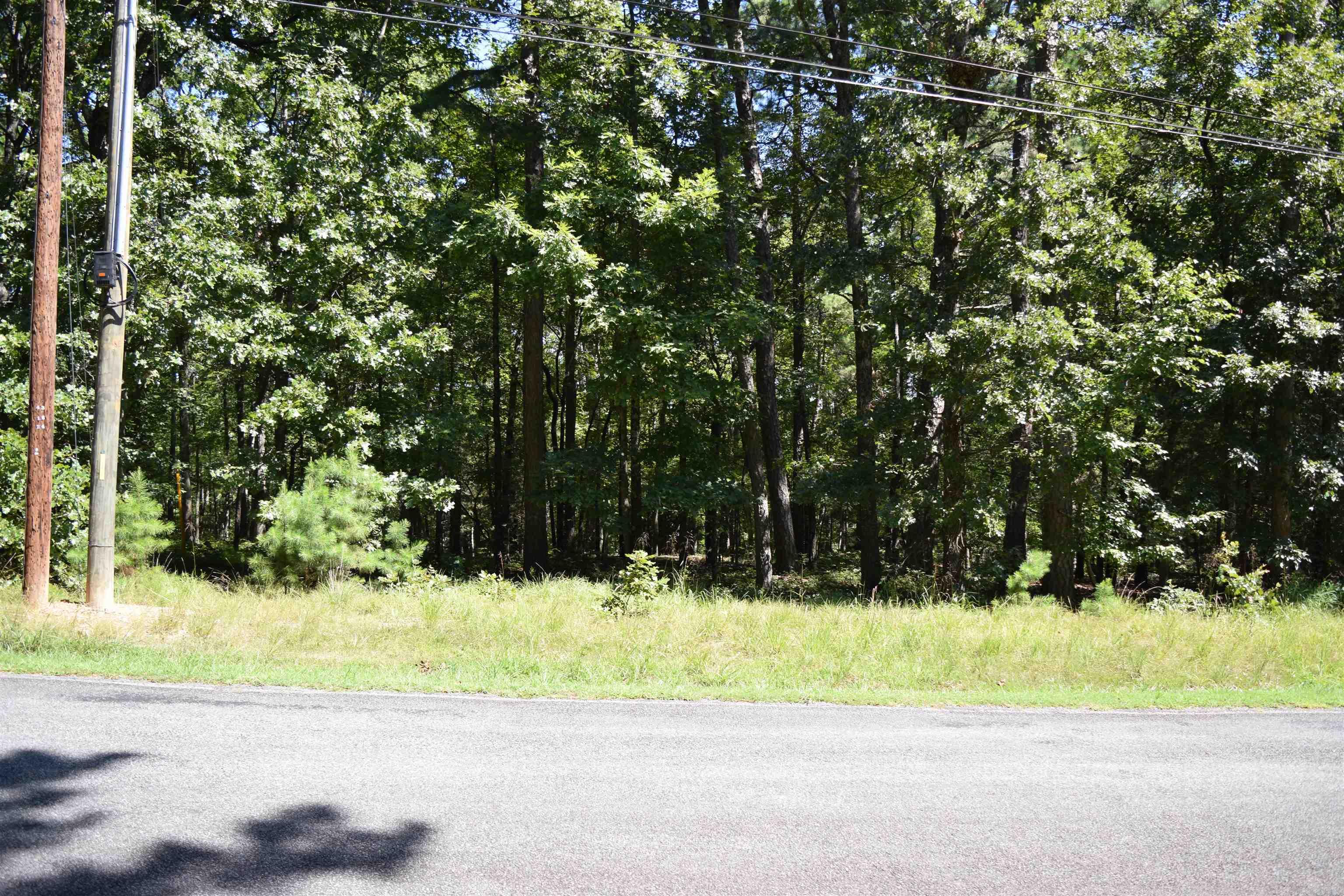 113 Lookout  Fairfield Bay, AR