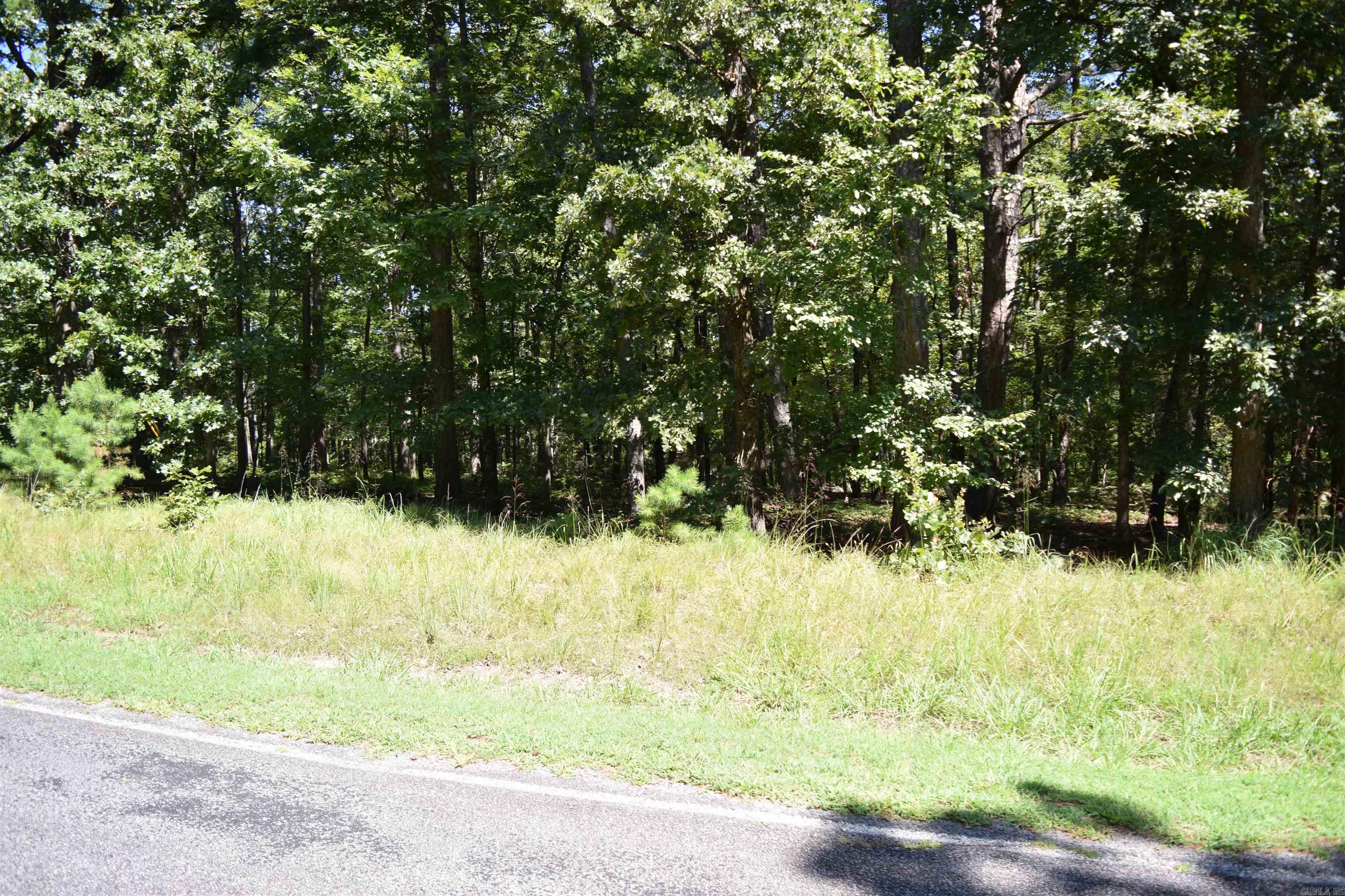 113 Lookout  Fairfield Bay, AR
