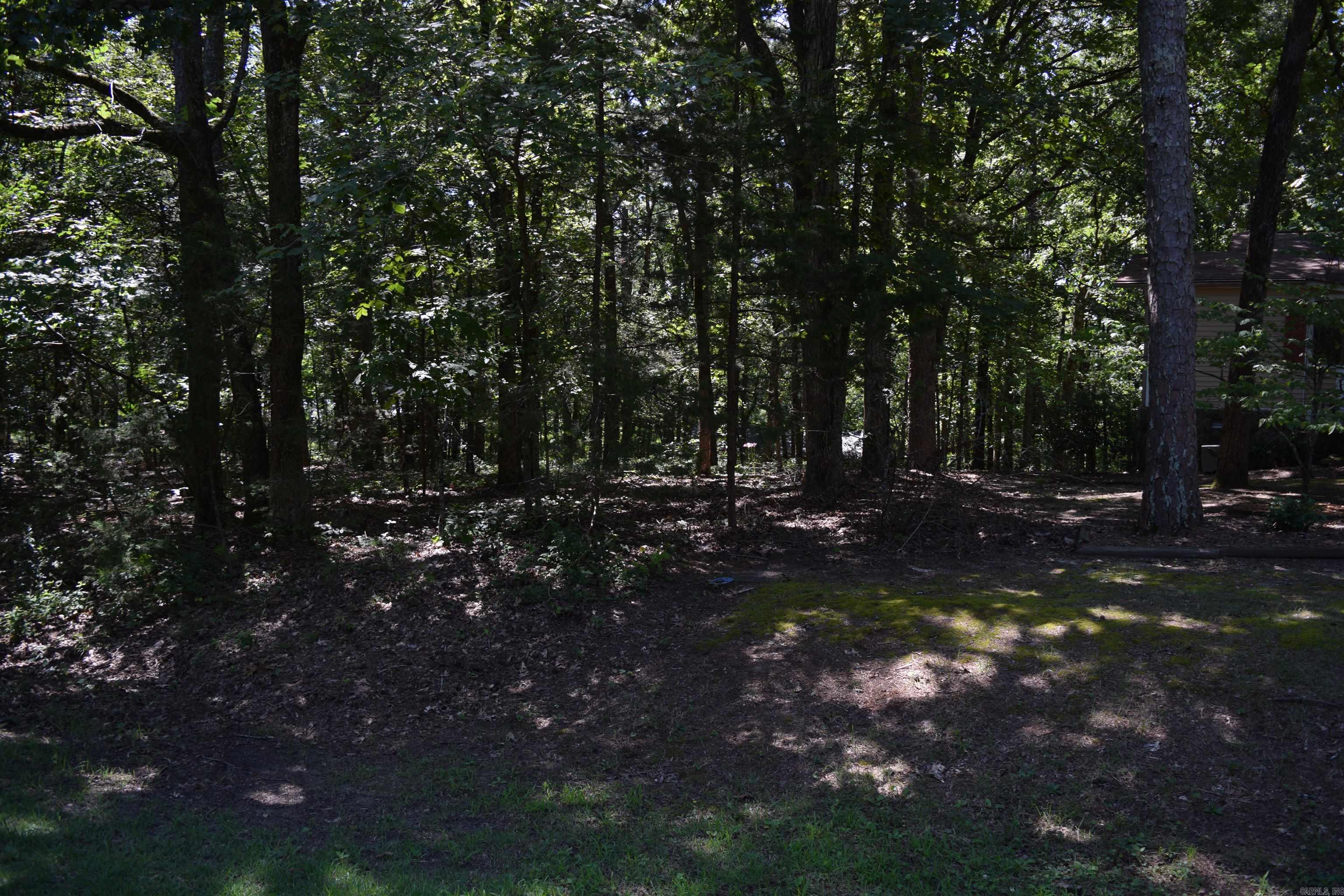 113 Lookout  Fairfield Bay, AR