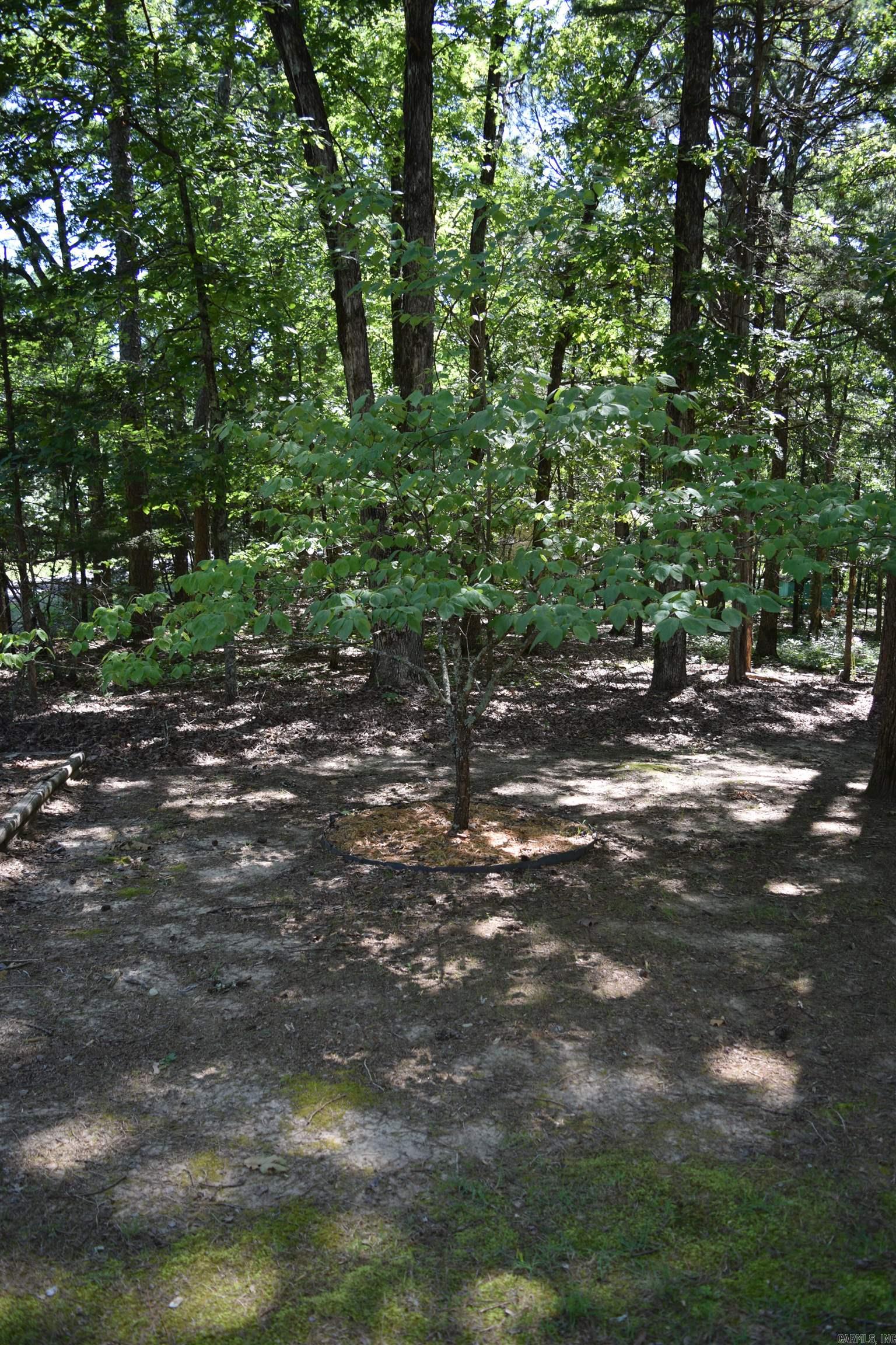 113 Lookout  Fairfield Bay, AR