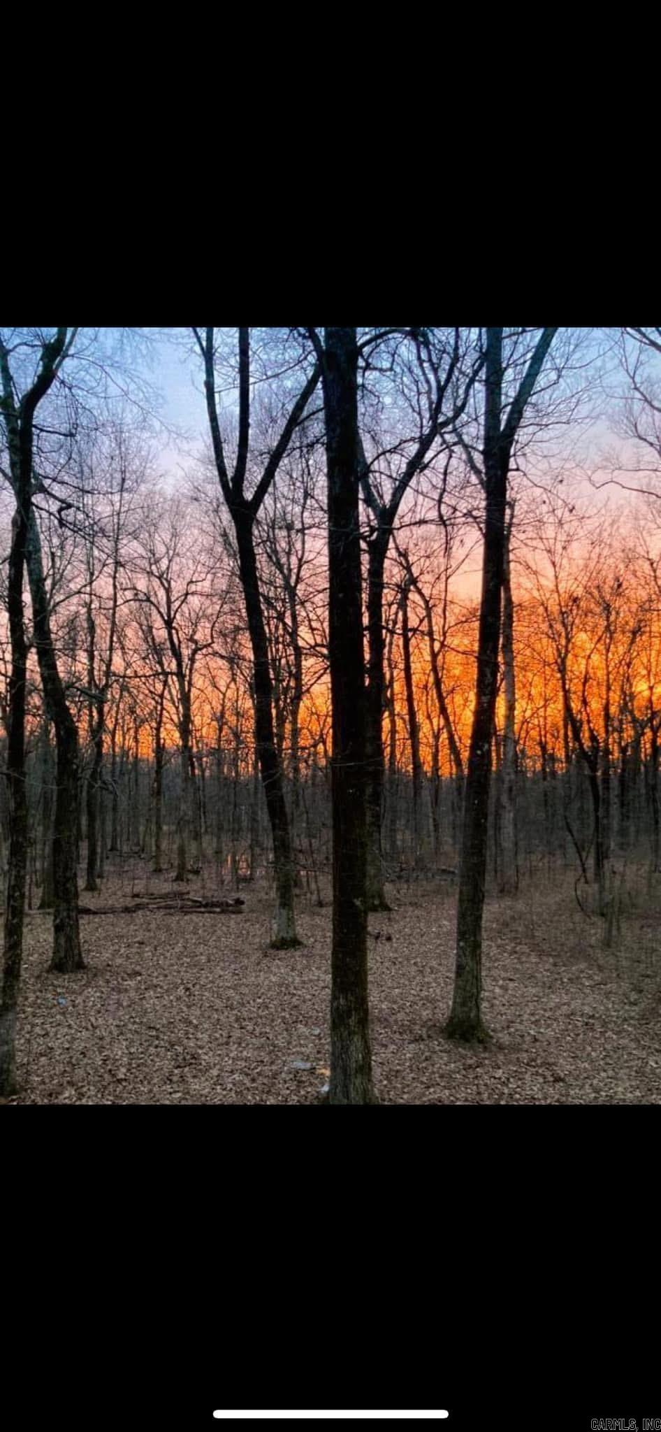 541 Cox Cypress  Stuttgart, AR