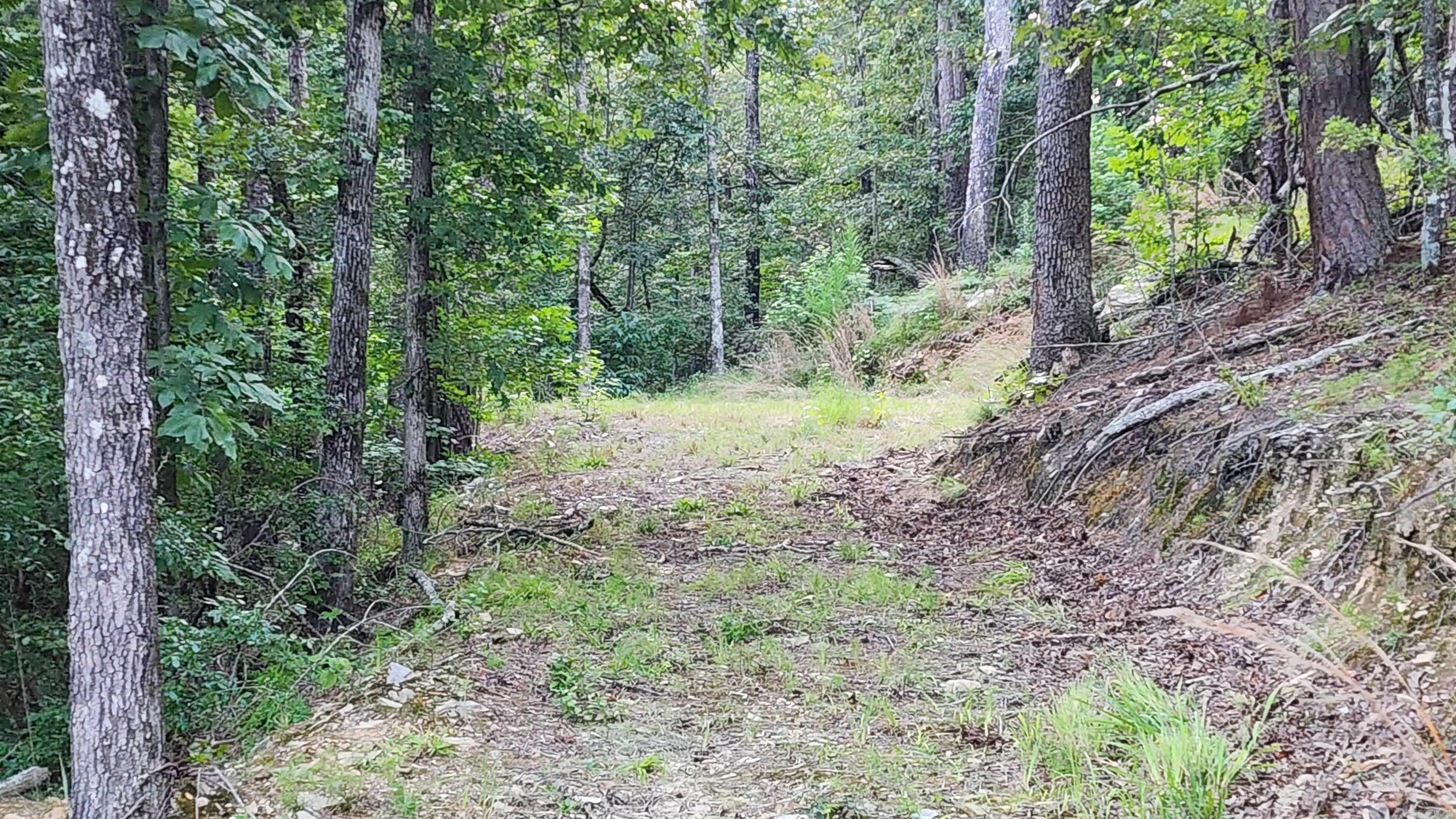 Lot 7 Oversprings Drive  Alexander, AR