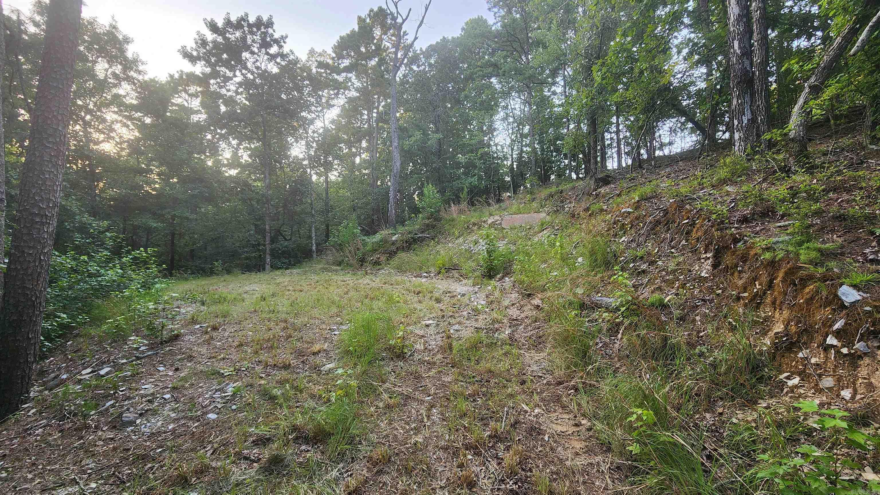 Lot 7 Oversprings Drive  Alexander, AR