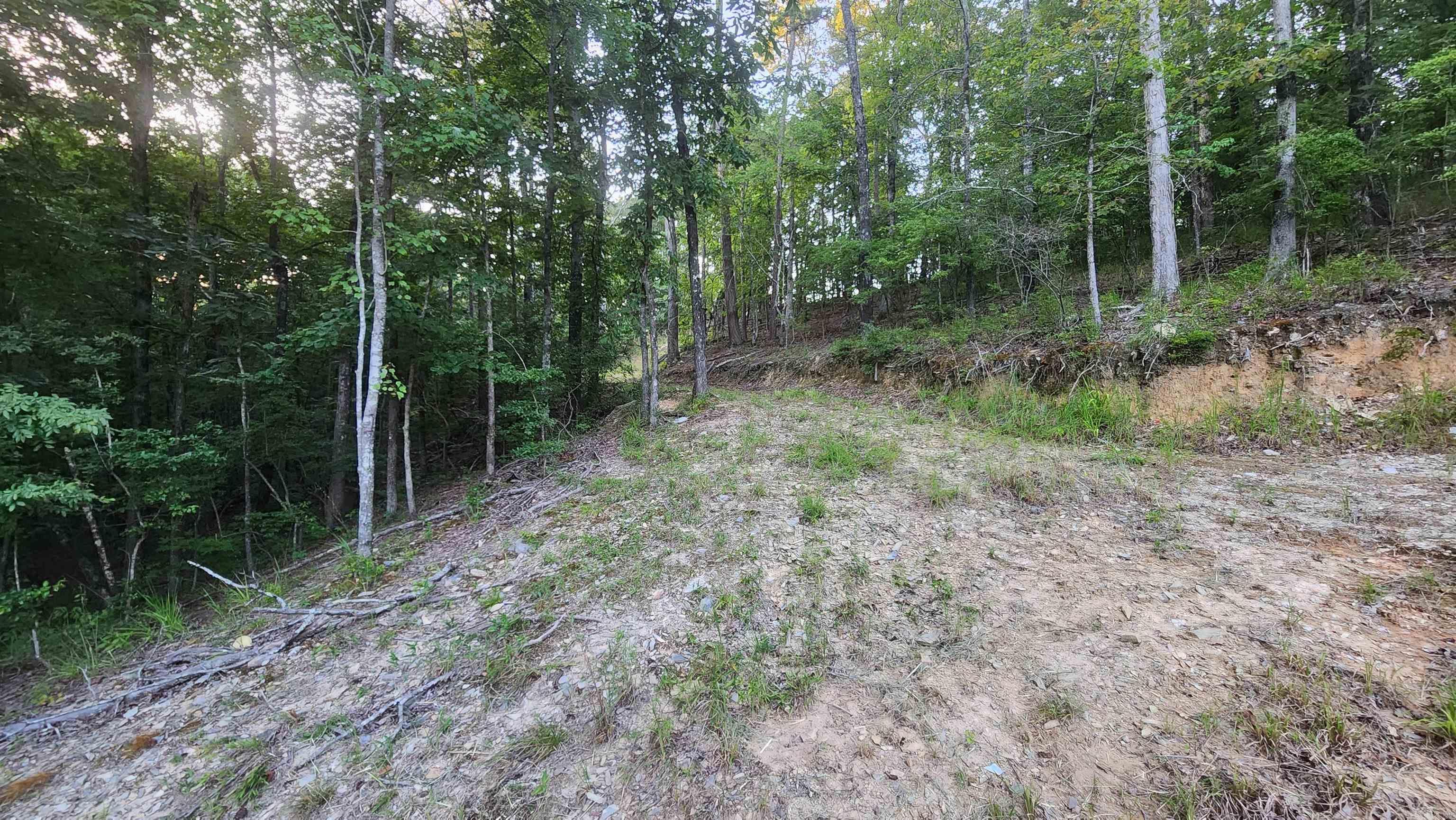 Lot 7 Oversprings Drive  Alexander, AR