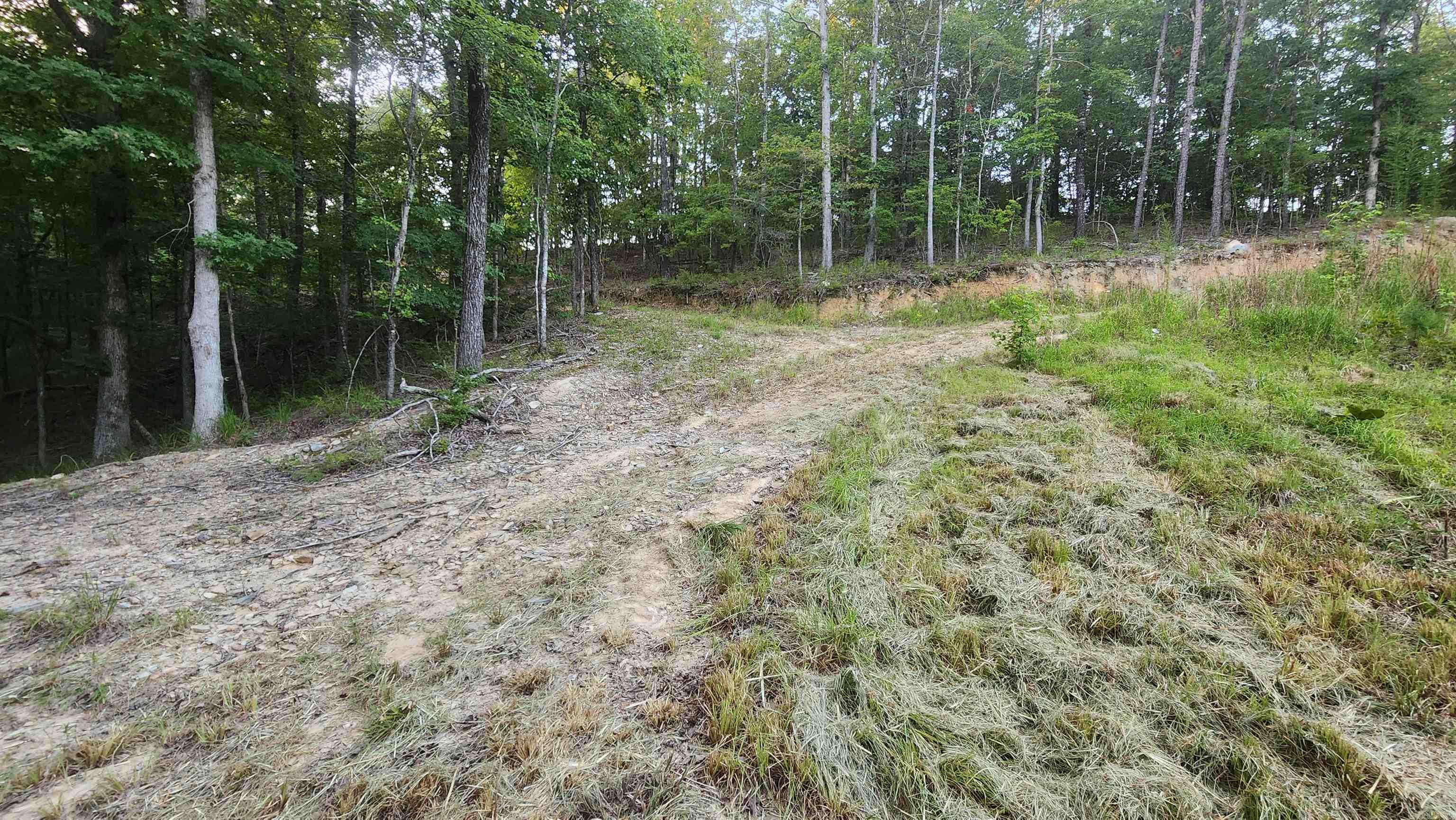 Lot 7 Oversprings Drive  Alexander, AR