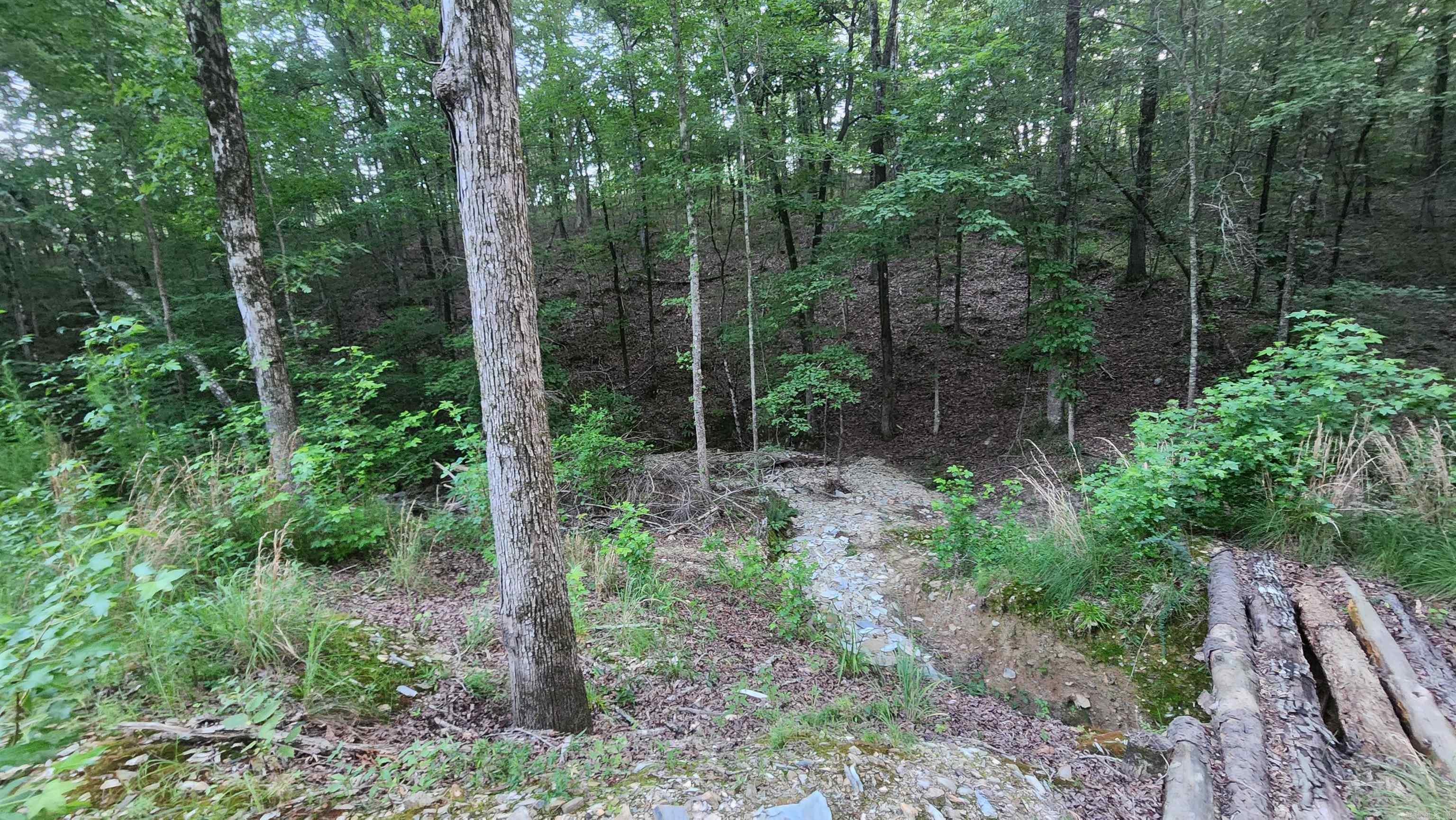 Lot 7 Oversprings Drive  Alexander, AR