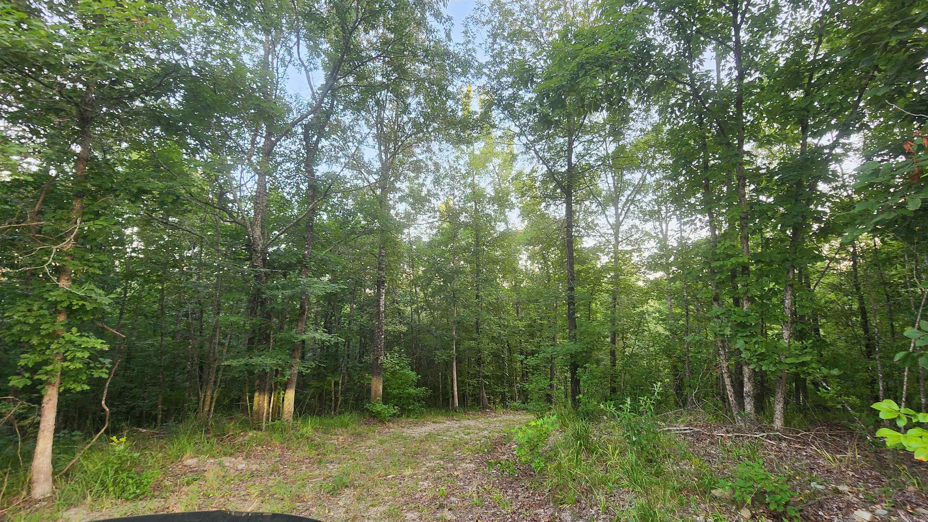 Lot 7 Oversprings Drive  Alexander, AR