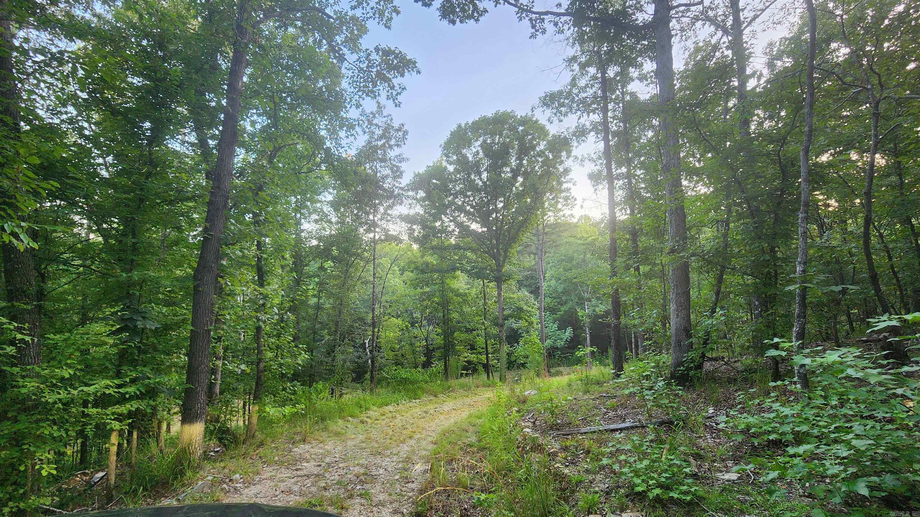 Lot 7 Oversprings Drive  Alexander, AR