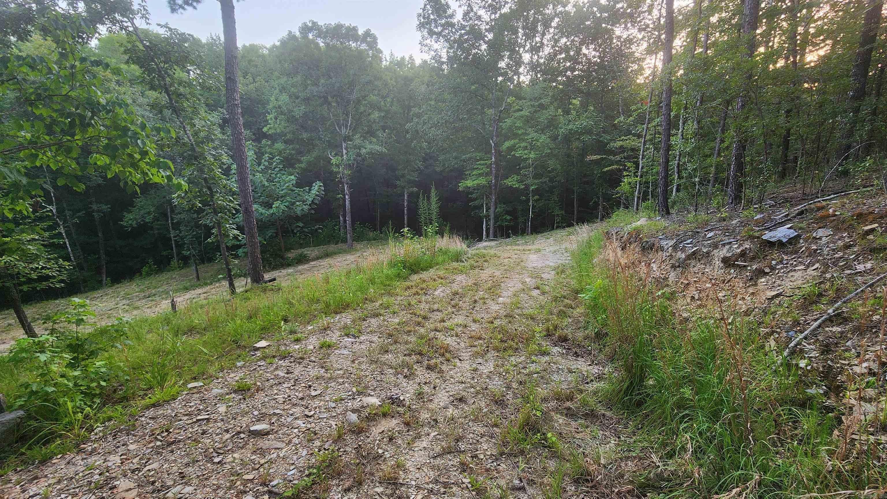 Lot 7 Oversprings Drive  Alexander, AR