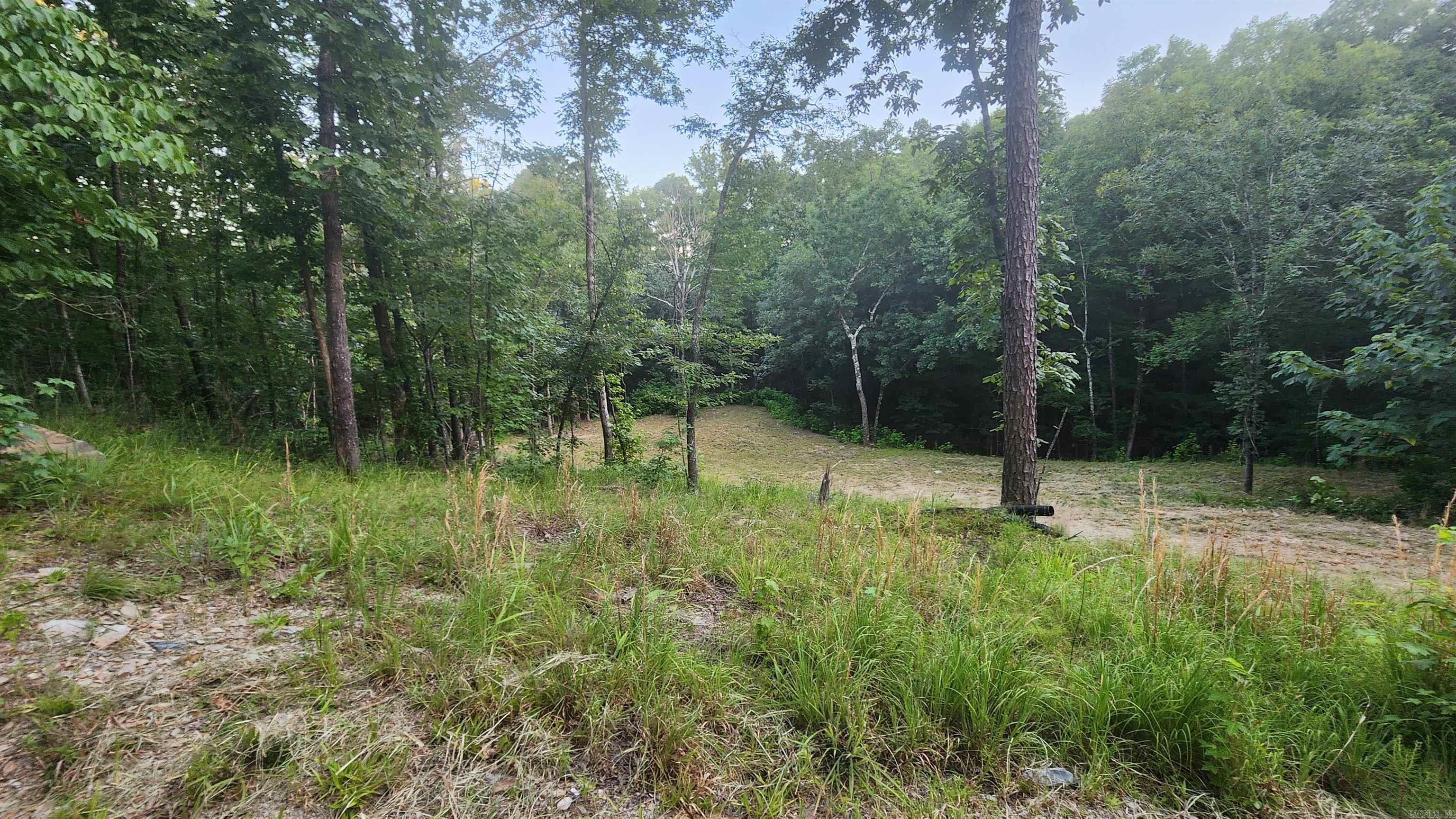 Lot 7 Oversprings Drive  Alexander, AR