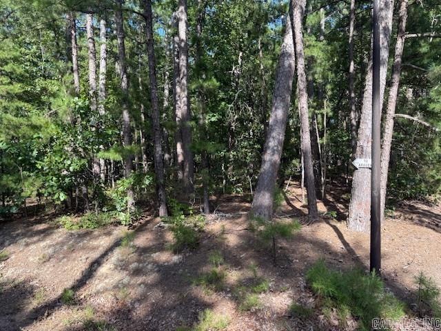 54 Alava Way  Hot Springs Village, AR