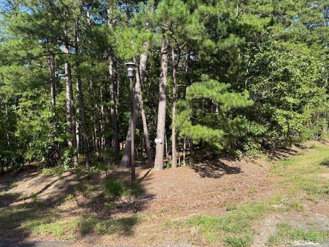 54 Alava Way  Hot Springs Village, AR