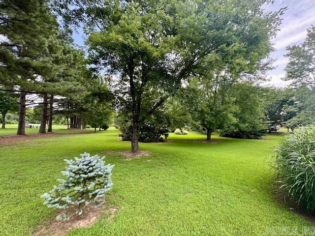 390 English Hulse  Pocahontas, AR