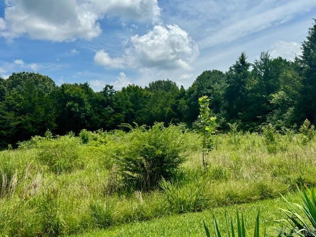 390 English Hulse  Pocahontas, AR
