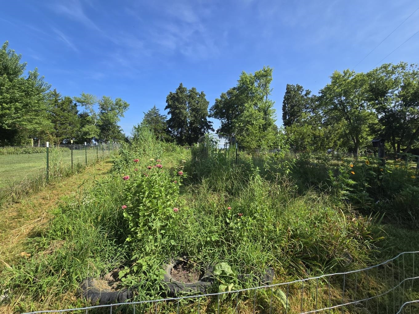 3036 Hwy P  Alton, MO